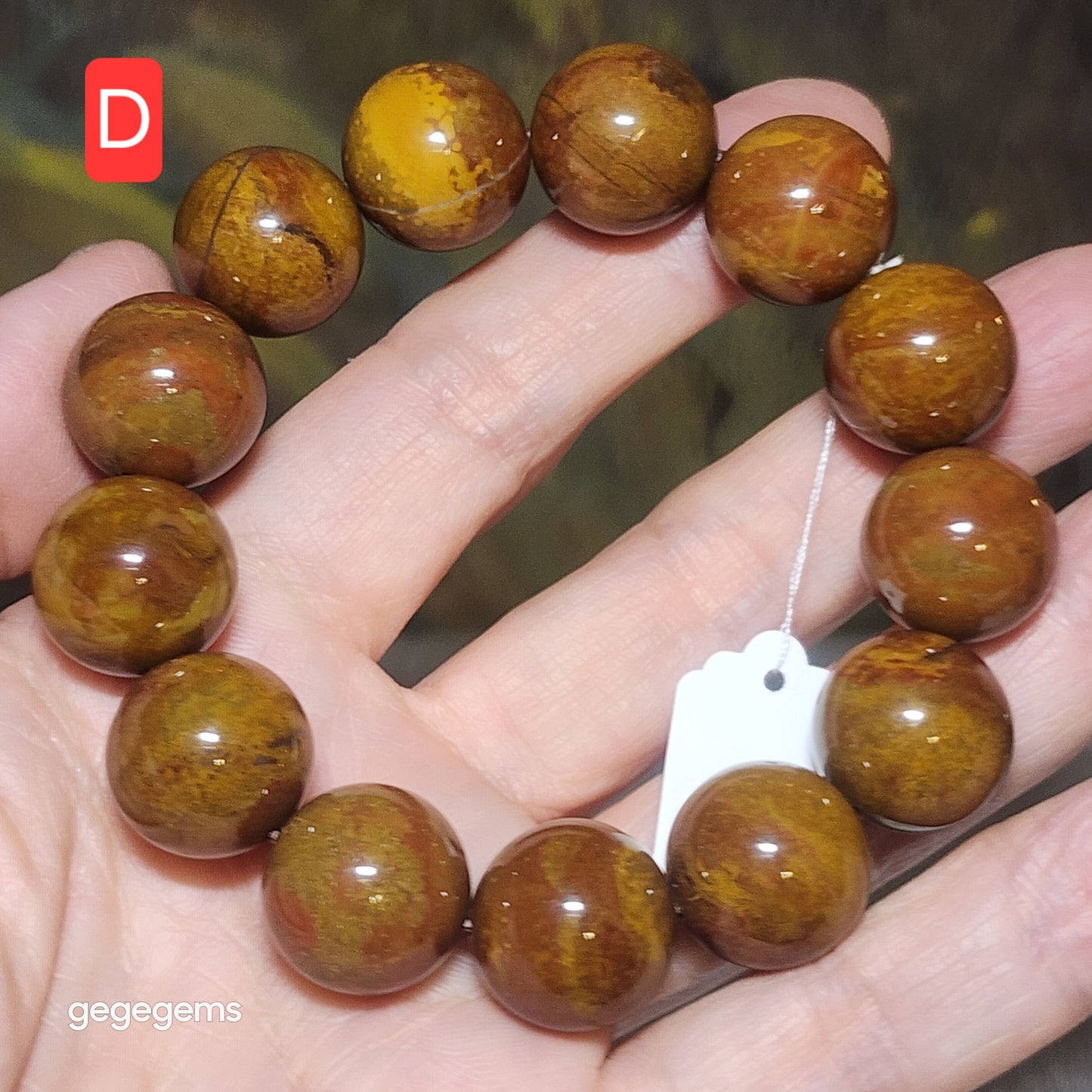 Set of two 16mm Premium Madagascar Petrified Wood brownish yellowish bracelet [Natural Crystal]