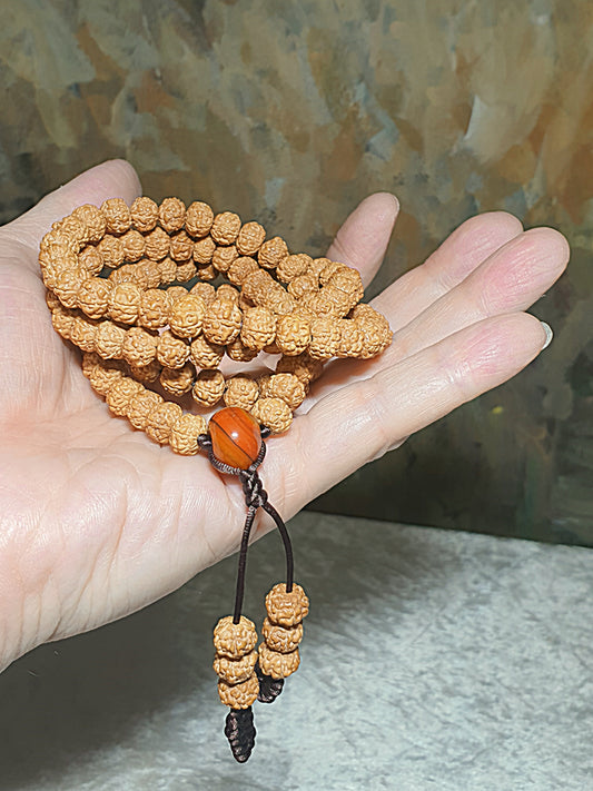 8.8mm 6 Mukhi (Faces) high density high oil content"Panlong (Coiling Dragons") Rudraksha 108 mala beads/necklace with a 14mm The Warring States Sardonyx Lu Lu Tong 8.8毫米高油铁籽六瓣盘龙小金刚菩提108念珠/项链配14毫米战国红路路通