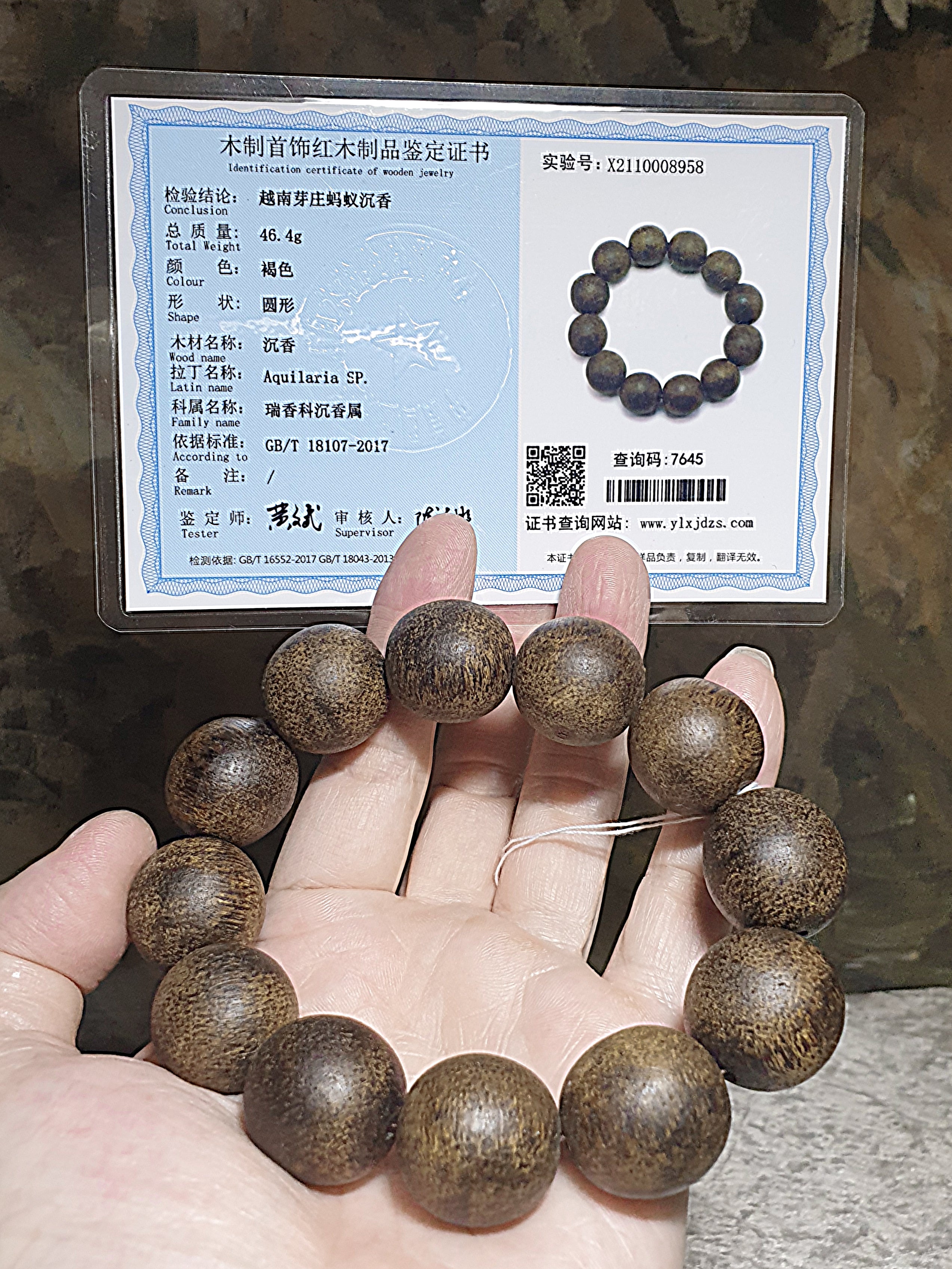 20.3mm Vietnam Nha Trang Agarwood (ants damaged formation)  bracelet/handheld (with certificate) 20.3毫米越南芽庄蚂蚁沉沉香手链/手持(带证书)