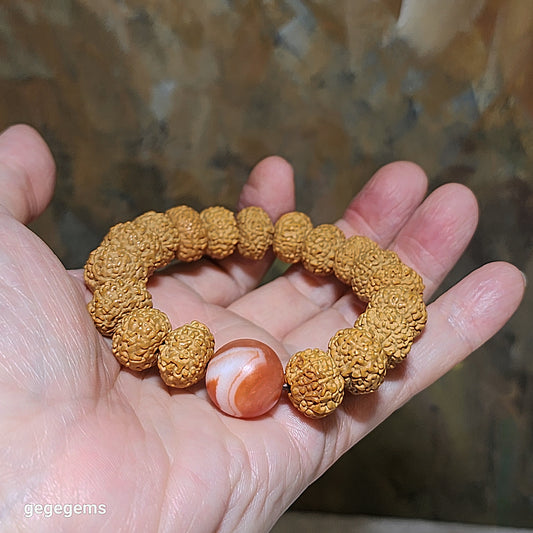 14mm premium natural "Panlong" (Coiling Dragon) 10 Mukhi (faces) small species Rudraksha with a 16mm Baoshan Nan Hong bracelet/18 beads mala 14毫米十瓣盘龙小金刚菩提子配宝山南红手链/十八子手持