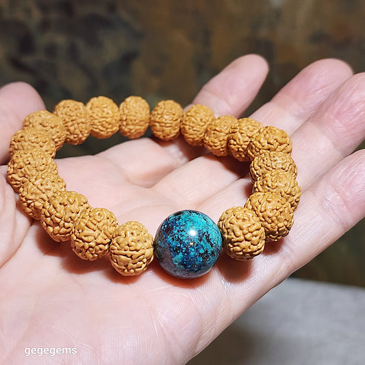 12.5mm+ premium natural "Panlong" (Coiling Dragon) 7 Mukhi (faces) small species Rudraksha with a 16.2mm Chrysocolla bracelet 七瓣盘龙小金刚菩提子配凤凰松石(硅孔雀石)手链