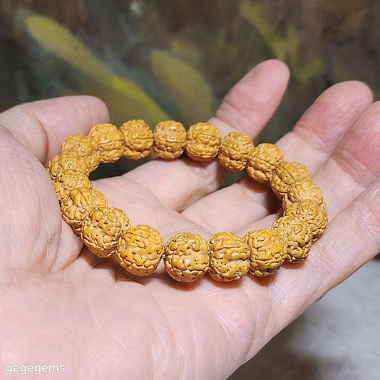 12mm+ Premium 5 Mukhi (Faces) Plum Blossom "5 Claws Dragon" Rudraksha bracelet 精品五瓣花王五爪金龙小金刚菩提子手链