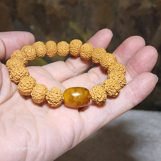 12.5mm+ premium natural "Panlong" (Coiling Dragon) 7 Mukhi (faces) small species Rudraksha with an aged Butterscotch Amber barrel bead "18 beads"  bracelet 七瓣盘龙小金刚菩提子配老蜜蜡桶珠十八子手链