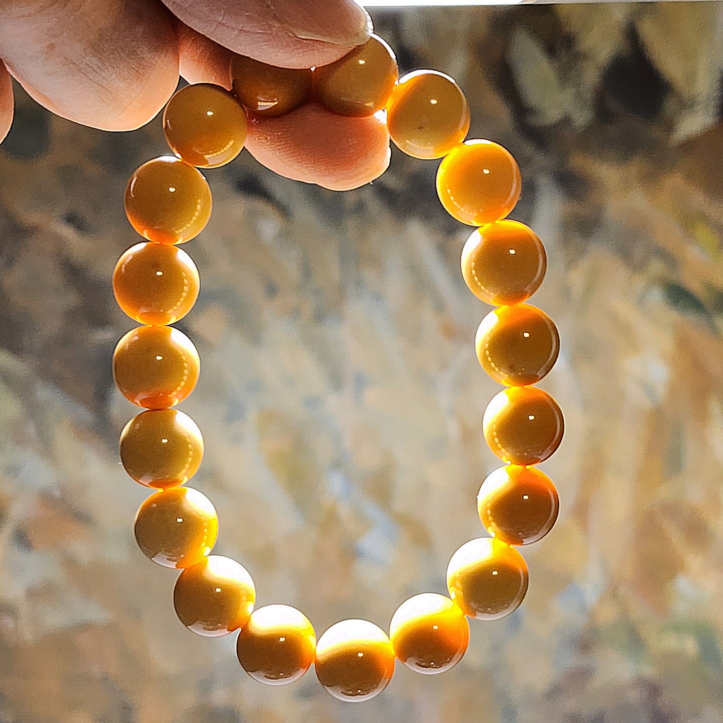 11mm+ Premium Mianhuang (Myanmar Yellow Dragon Jade) filled treasure bowl bracelet 精品缅黄滿滿聚宝盘手链