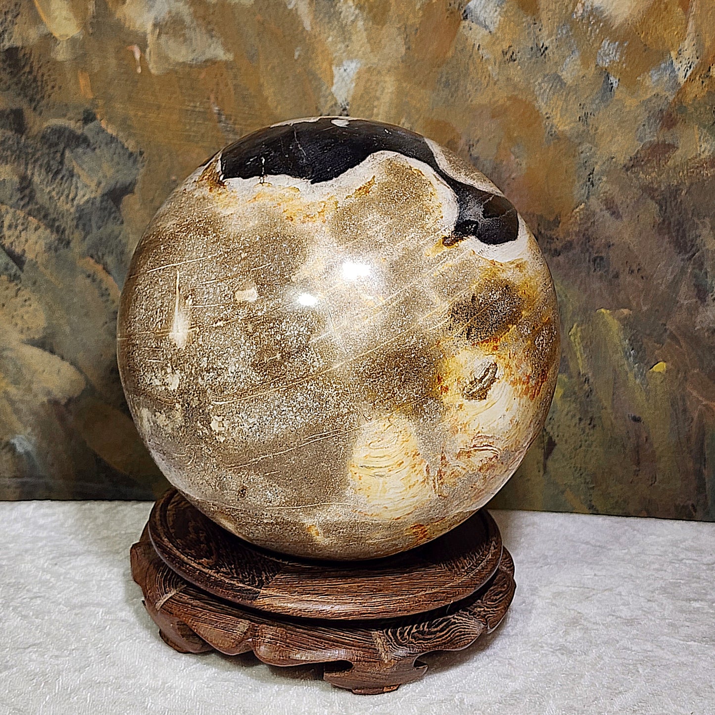 Large 16cm Premium hand polished Petrified Wood "a" and many unique patterns feng shui globe ball  [Natural Crystal] 精品大尺寸木化石多色多图形"a字" 人工切割打磨镇宅风水球 #2