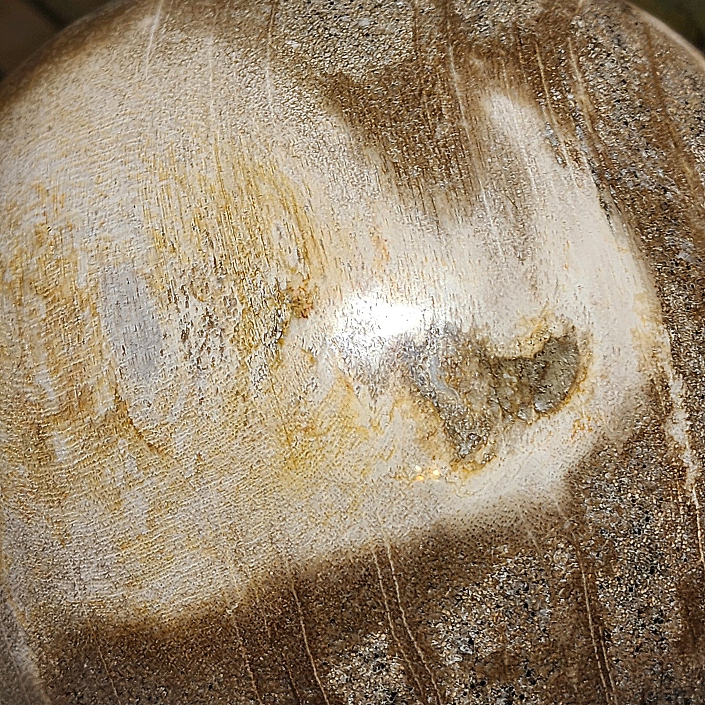 Large 16cm Premium hand polished Petrified Wood "a" and many unique patterns feng shui globe ball  [Natural Crystal] 精品大尺寸木化石多色多图形"a字" 人工切割打磨镇宅风水球 #2