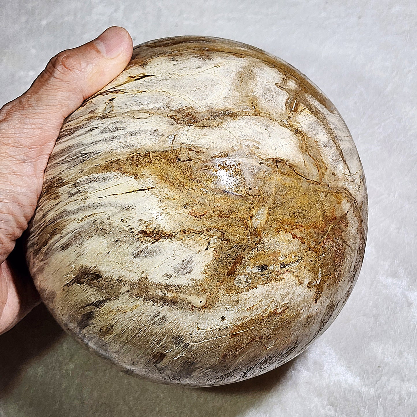 4.5 kg Premium hand polished Petrified Wood many unique patterns feng shui globe ball 精品木化石多天然图形人工切割打磨镇宅风水球 #8