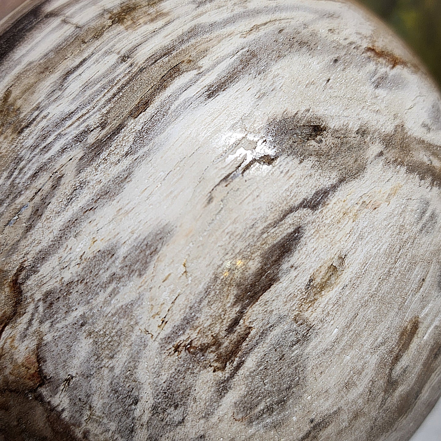 4.5 kg Premium hand polished Petrified Wood many unique patterns feng shui globe ball 精品木化石多天然图形人工切割打磨镇宅风水球 #8