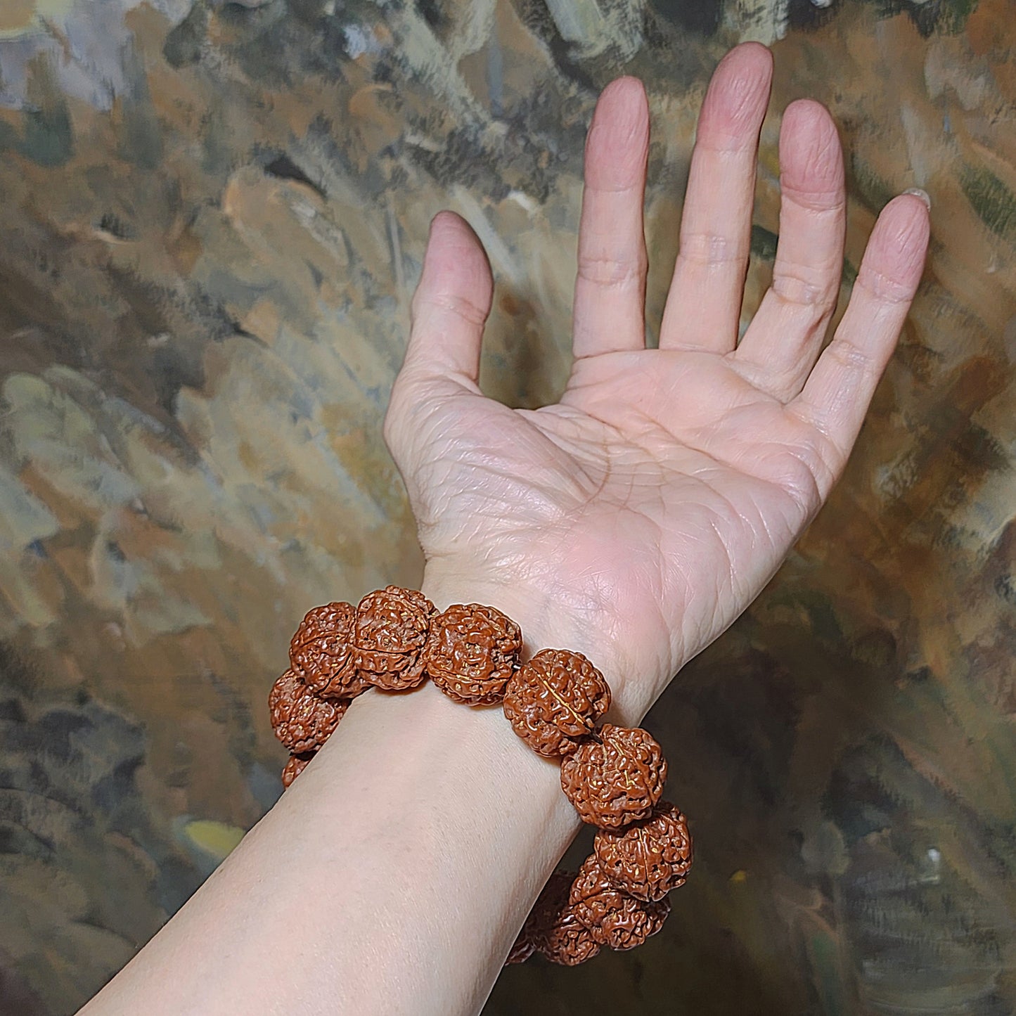 21mm+ Thoroughly cleaned & brushed Nepal Rudraksha from high altitude (dense & high natural oil contents) same tree both sides Plum Flower Panlong Double-Dragon 5 Mukhi (faces) bracelet/Handheld 21毫米+ 深度清理打底尼泊尔五瓣高山安娜籽同树双面梅花盘龙双龙大金刚菩提子手串/手持