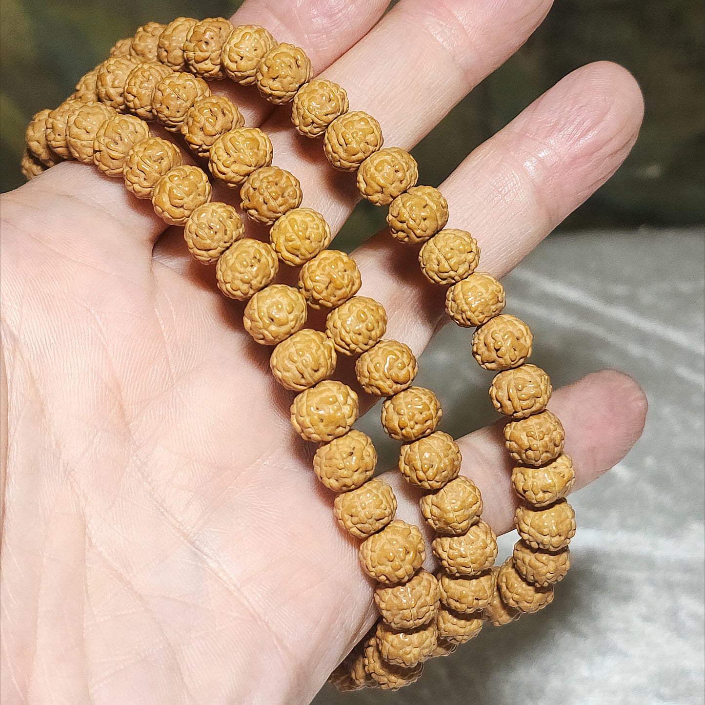 8.8mm 6 Mukhi (Faces) high density high oil content"Panlong (Coiling Dragons") Rudraksha 108 mala beads/necklace with a 14mm The Warring States Sardonyx Lu Lu Tong 8.8毫米高油铁籽六瓣盘龙小金刚菩提108念珠/项链配14毫米战国红路路通