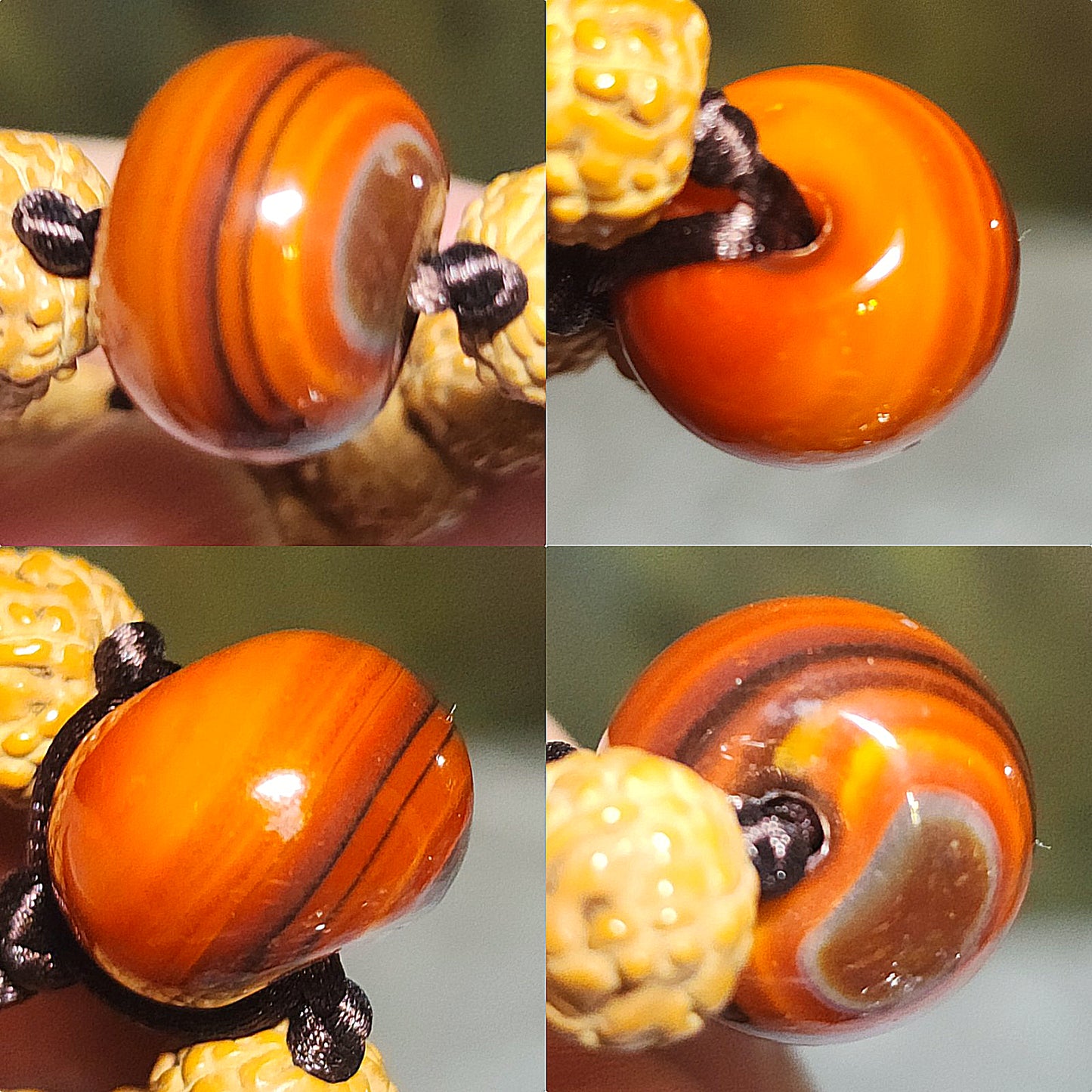8.8mm 6 Mukhi (Faces) high density high oil content"Panlong (Coiling Dragons") Rudraksha 108 mala beads/necklace with a 14mm The Warring States Sardonyx Lu Lu Tong 8.8毫米高油铁籽六瓣盘龙小金刚菩提108念珠/项链配14毫米战国红路路通