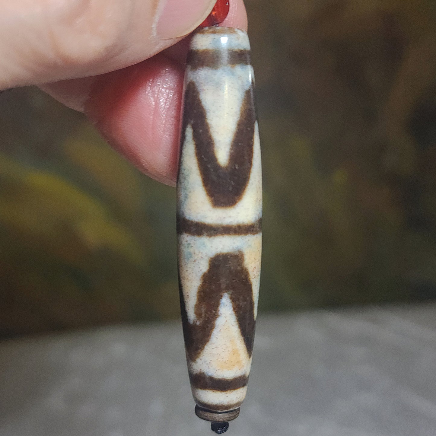 Gegegems Collection 57.6mm aged Tibetan Huya Dzi pendant with very fine red spots (with certificate) 精品藏传老矿满细朱砂虎牙天珠(带证书)