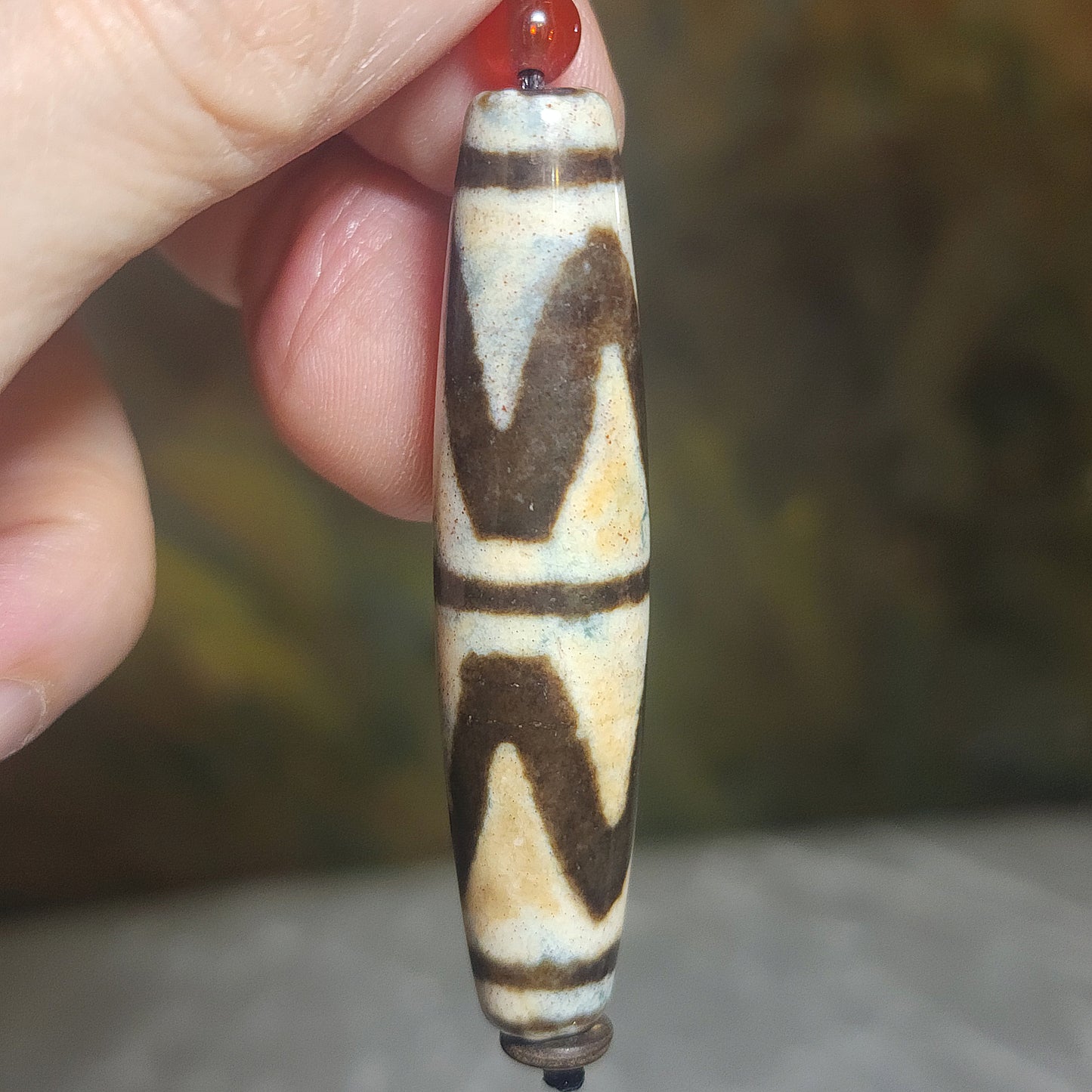 Gegegems Collection 57.6mm aged Tibetan Huya Dzi pendant with very fine red spots (with certificate) 精品藏传老矿满细朱砂虎牙天珠(带证书)