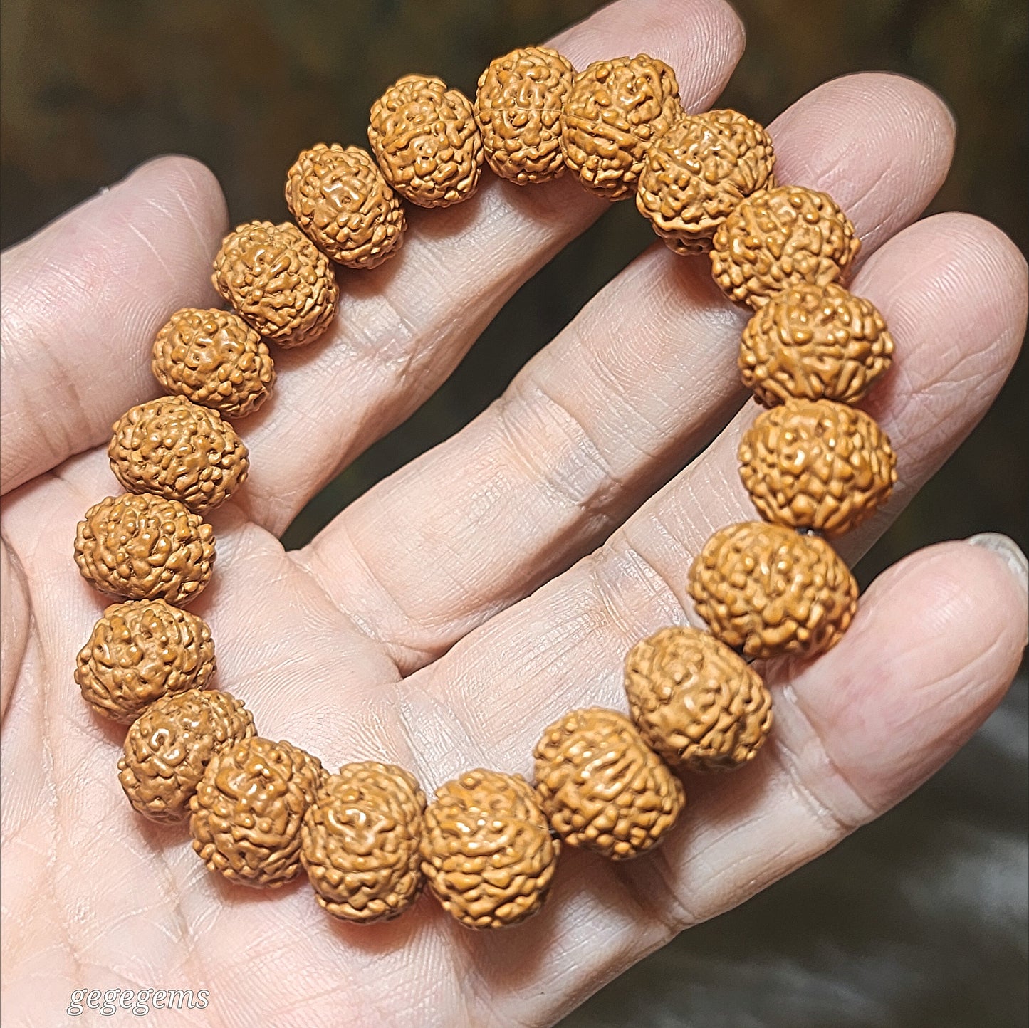 Premium 12.5mm natural "Panlong" (Coiling Dragon) 9 Mukhi (faces) small species Rudraksha bracelet 精品九瓣盘龙小金刚菩提子手链