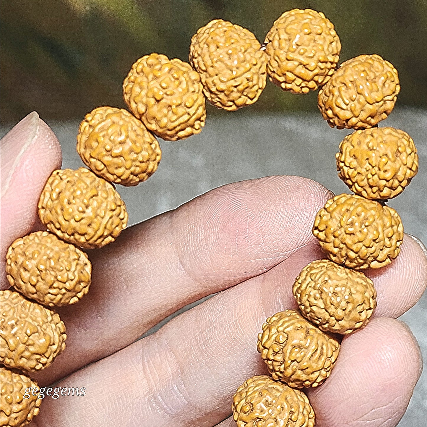 Premium 12.5mm natural "Panlong" (Coiling Dragon) 9 Mukhi (faces) small species Rudraksha bracelet 精品九瓣盘龙小金刚菩提子手链