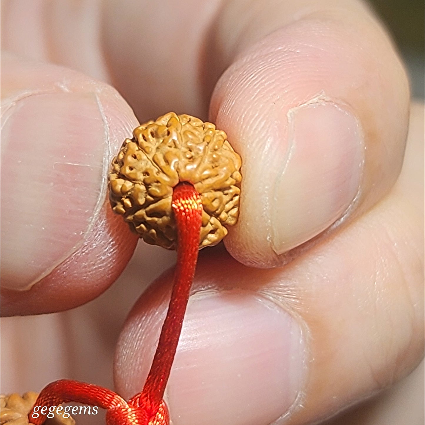 9.7mm Natural 9 Mukhi (Faces) "Coiling Dragon" abacus shape Rudraksha with 13.5mm Type A Yellow Jadeite 108 mala necklace [Natural unprocessed] 九瓣盘龙飞碟小金刚菩提配黄翡圆珠108念珠项链