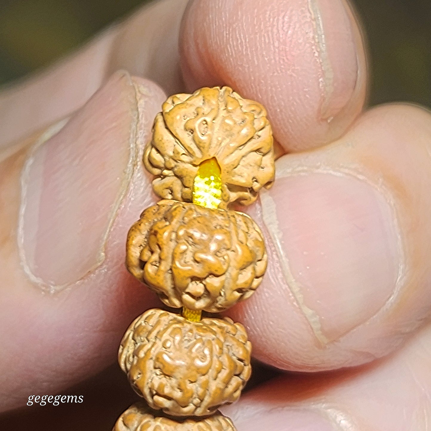 [Sold] Gegegems Creation 9.2mm 6 Mukhi (Faces) high density high oil content "Tree King" "Full Body" Rudraksha 108 necklace with a 13.5mm The Warring States Sardonyx Lu Lu Tong & 3 Waxi Nan Hong traditional old style beads 高油六瓣树王铁籽爆肉小金刚菩提108项链配战国红瓦西南红