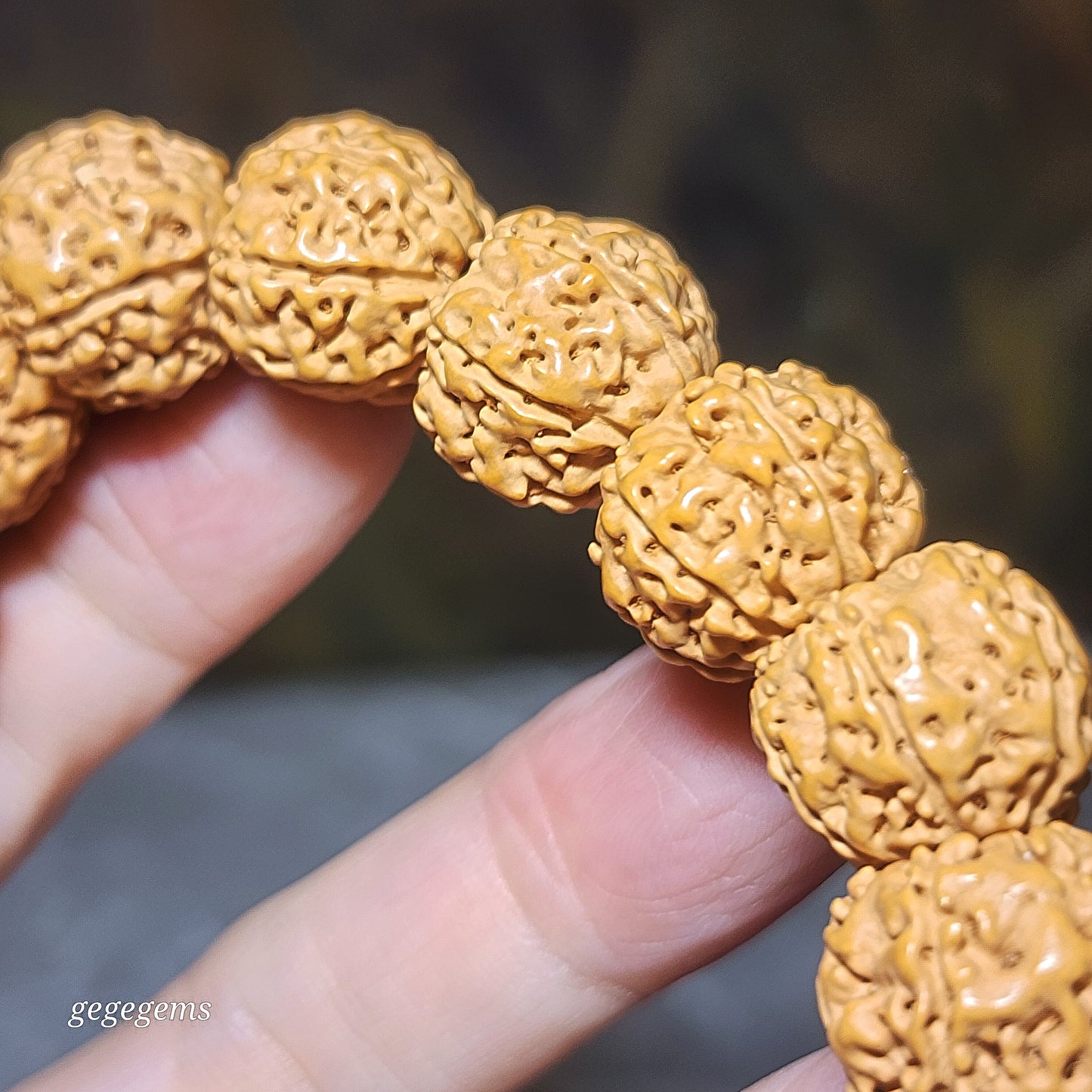 Gegegems Creation 15.5mm+ small species Rudraksha 6 Mukhi deep lines Panlong with Tibetan red spots Lightning 5 Eyes Da Luo Dzi & Cinnabar carved coins 18 beads mala handheld bracelet 大尺寸六瓣小金刚菩提深坑盘龙配象雄满朱砂闪电五眼达洛天珠帝皇砂古钱珠藏式三通十八子手持