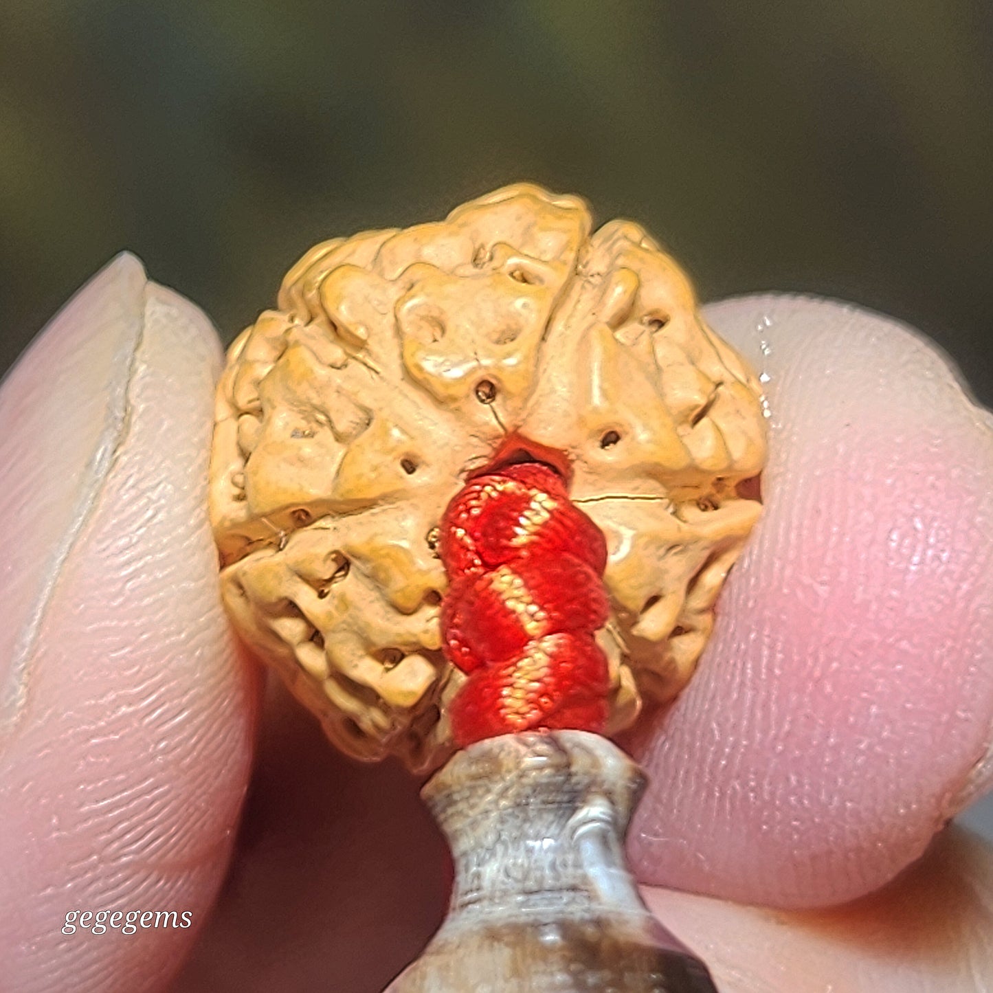 Gegegems Creation 15.5mm+ small species Rudraksha 6 Mukhi deep lines Panlong with Tibetan red spots Lightning 5 Eyes Da Luo Dzi & Cinnabar carved coins 18 beads mala handheld bracelet 大尺寸六瓣小金刚菩提深坑盘龙配象雄满朱砂闪电五眼达洛天珠帝皇砂古钱珠藏式三通十八子手持