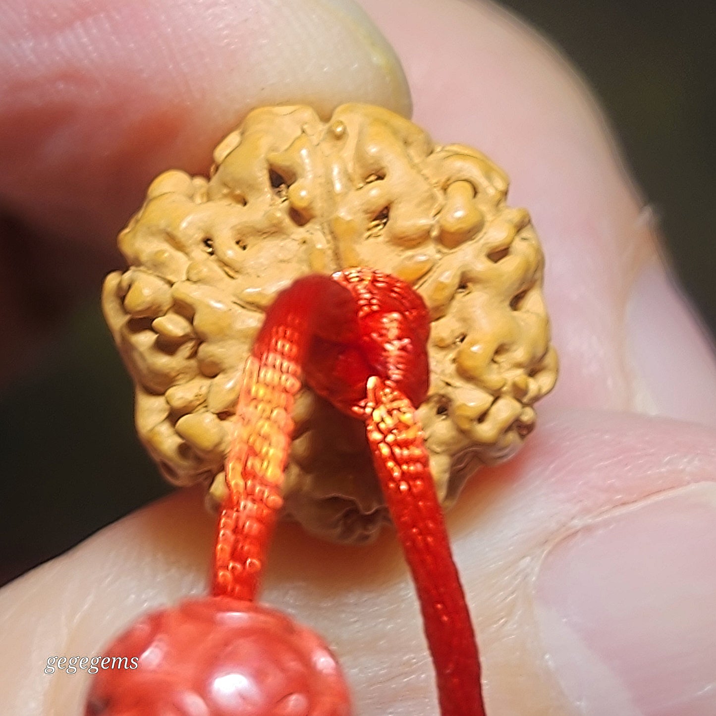 Gegegems Creation 15.5mm+ small species Rudraksha 6 Mukhi deep lines Panlong with Tibetan red spots Lightning 5 Eyes Da Luo Dzi & Cinnabar carved coins 18 beads mala handheld bracelet 大尺寸六瓣小金刚菩提深坑盘龙配象雄满朱砂闪电五眼达洛天珠帝皇砂古钱珠藏式三通十八子手持
