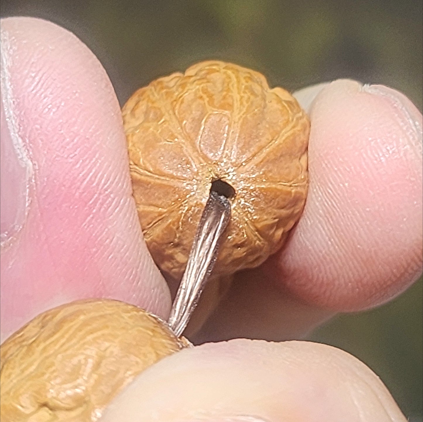 Rare small size 17mm Mentougou pinkish skin 8 ridges Walnut bracelet 罕见小尺寸北京门头沟粉红皮秋子八棱手链