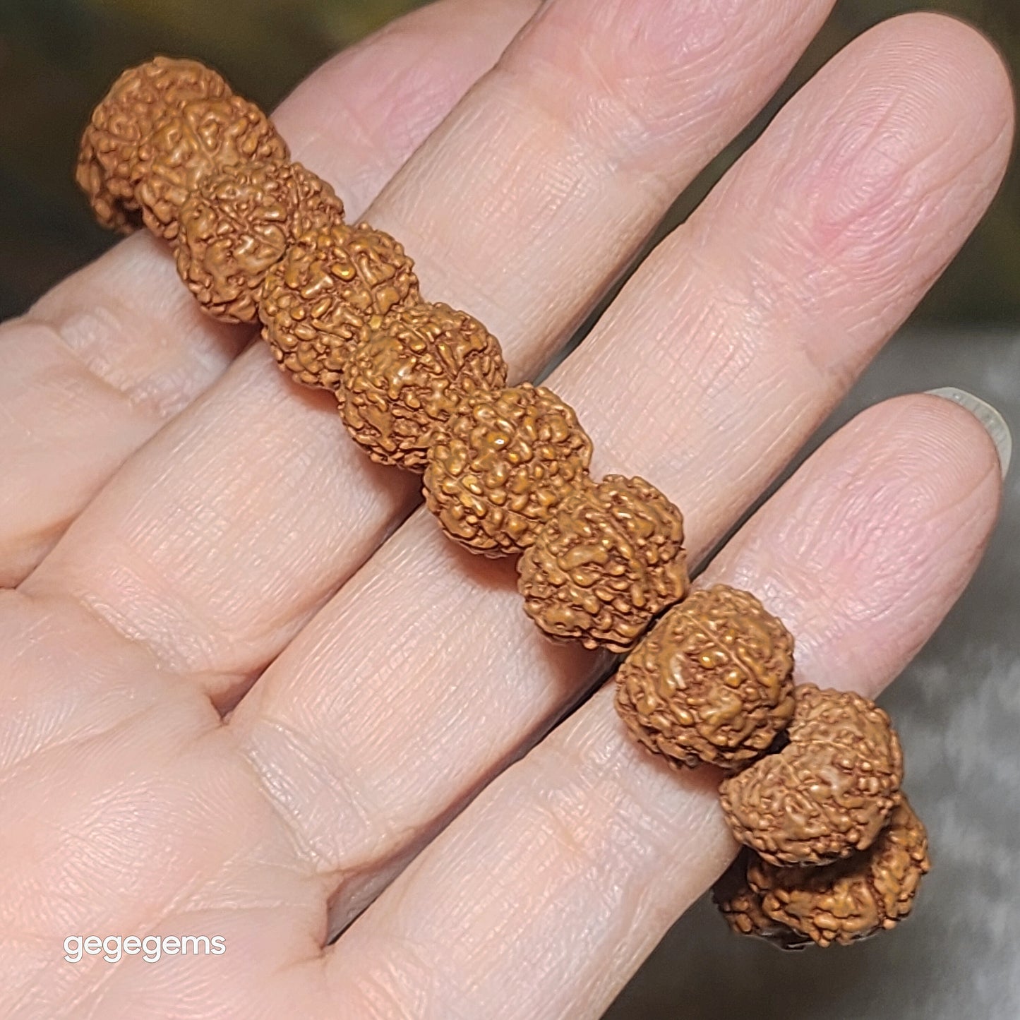 12mm+ premium natural "Panlong" (Coiling Dragon) high density red skin 7 Mukhi (faces) small species Rudraksha bracelet 优质七瓣盘龙红皮铁籽小金刚菩提子手链