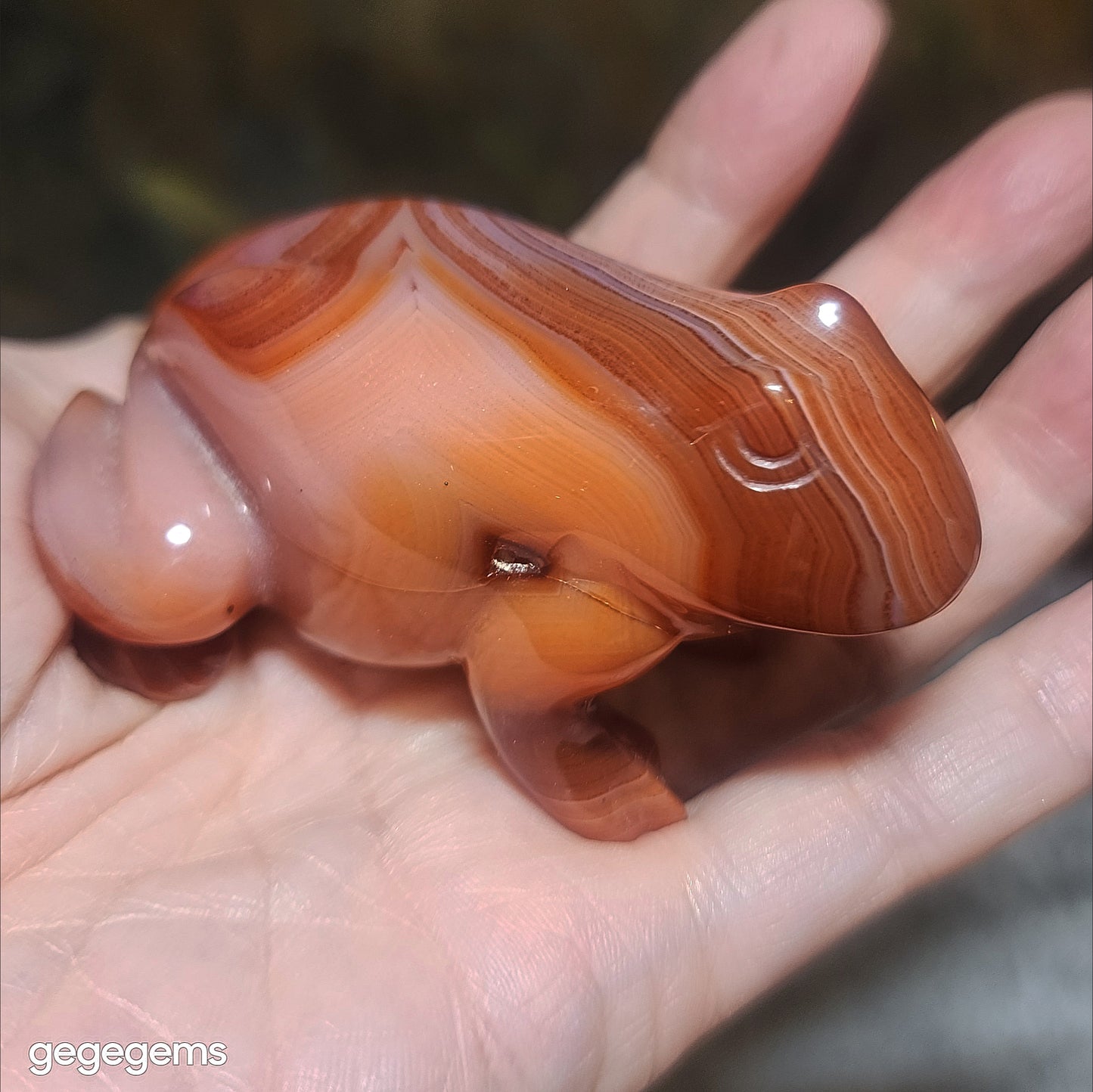 Gegegems premium natural Sardonyx 3 dimensional Frog handheld display [Natural crystal] 精品天然缠丝玛瑙立体青蛙把件摆件
