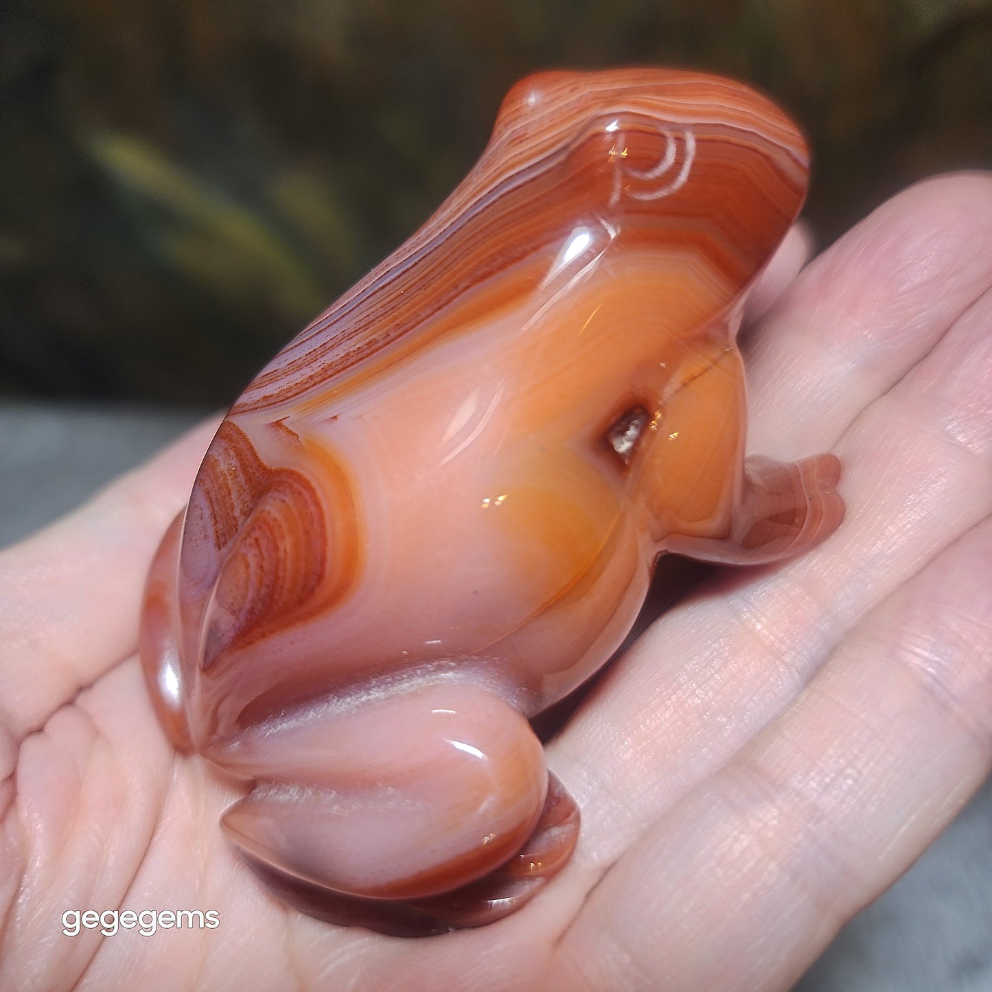 Gegegems premium natural Sardonyx 3 dimensional Frog handheld display [Natural crystal] 精品天然缠丝玛瑙立体青蛙把件摆件