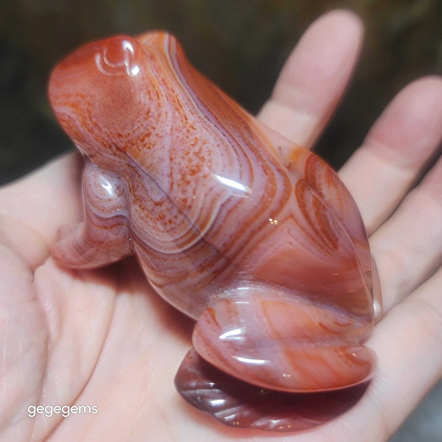Gegegems premium natural Sardonyx 3 dimensional Frog handheld display [Natural crystal] 精品天然缠丝玛瑙立体青蛙把件摆件