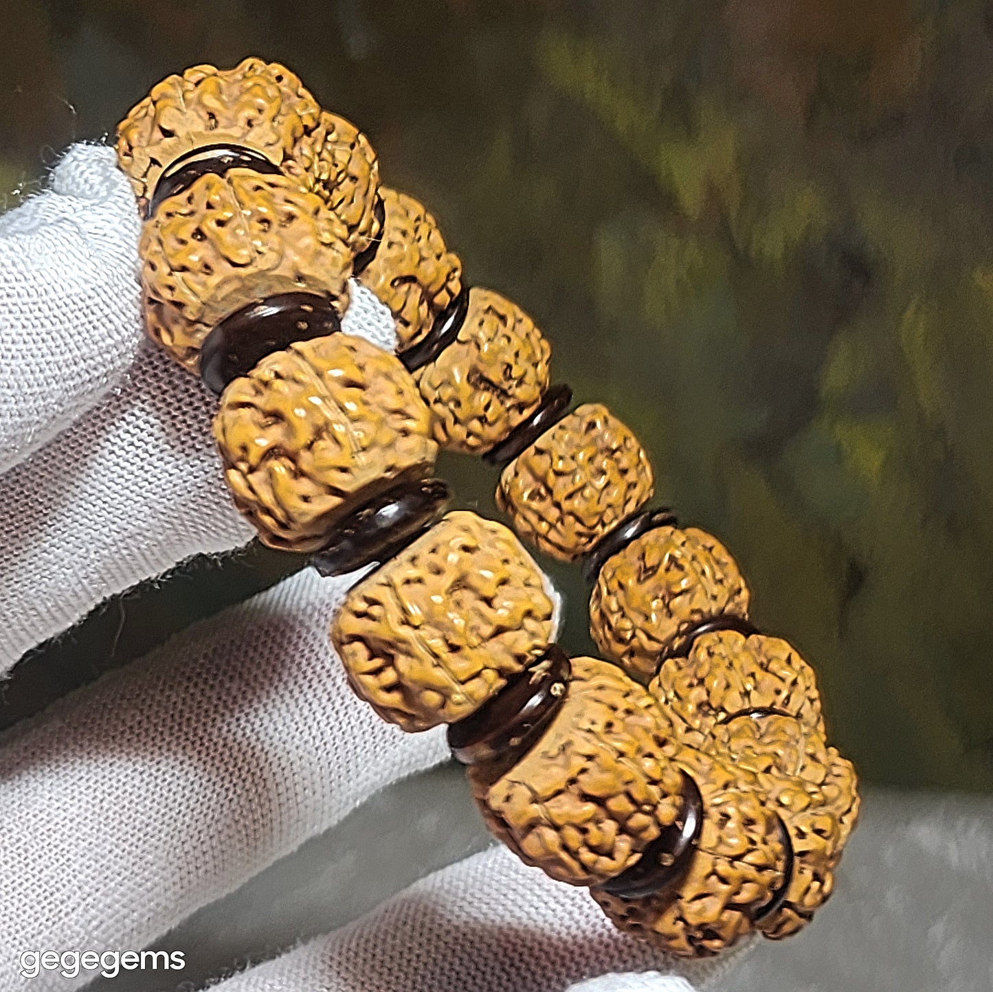Gegegems premium 14mm Small Species Rudraksha "First Generation Pan Long (Coiling Dragon)" Tibetan cut with 10mm natural coconut shell spacers bracelet 精品大尺寸藏切一代盘龙小金刚菩提子配天然椰壳隔片手链