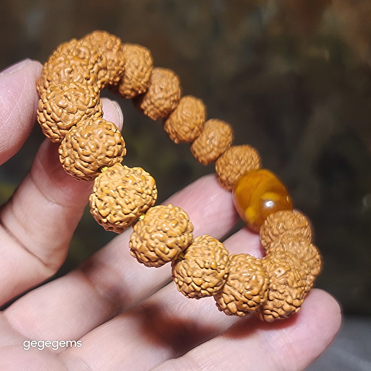 Premium 12mm+ natural "Panlong" (Coiling Dragon) 9 Mukhi (faces) small species Rudraksha and natural Butterscotch Amber barrel bead bracelet 精品九瓣盘龙小金刚菩提子配蜜腊桶珠手链