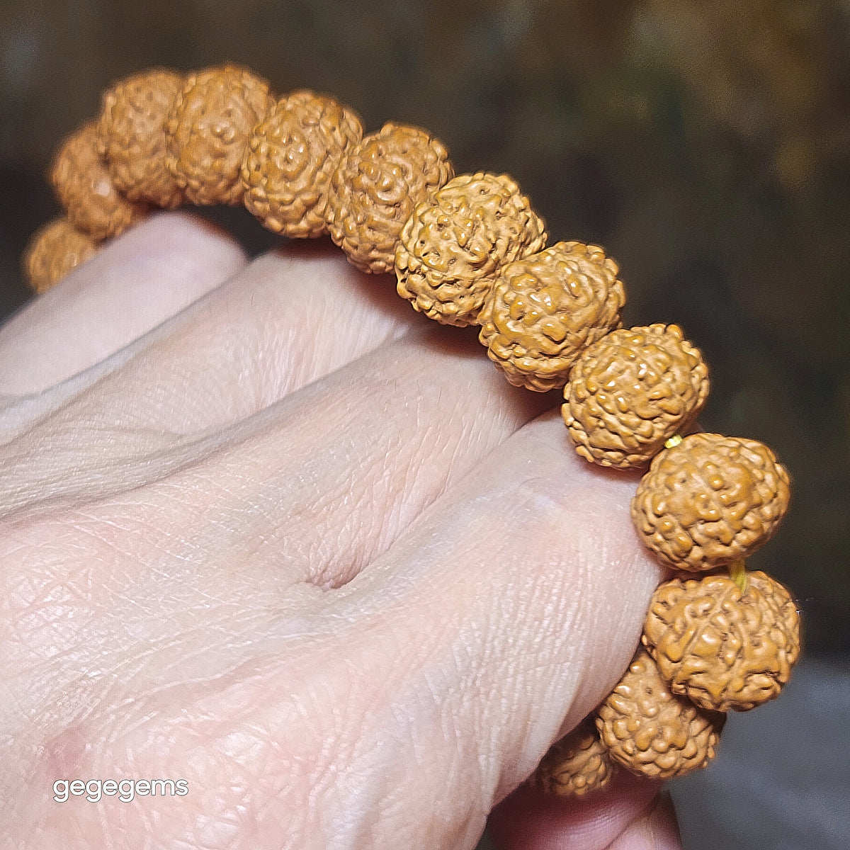 Premium 12mm+ natural "Panlong" (Coiling Dragon) 9 Mukhi (faces) small species Rudraksha and natural Butterscotch Amber barrel bead bracelet 精品九瓣盘龙小金刚菩提子配蜜腊桶珠手链