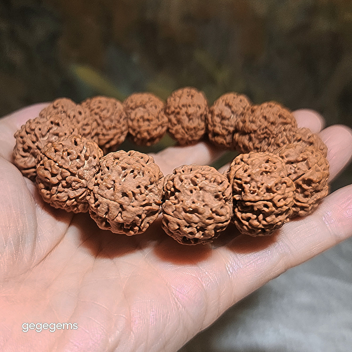 Gegegems XL 24mm+ to 25mm premium natural Nepal Rudraksha from high altitude dense & high oil contents same tree flat top & bottom Honeycomb Needle Holes  Panlong 5 Mukhi (faces) bracelet 精品大尺寸原生态尼泊尔五瓣高山安娜同树铁籽平头平尾针孔蜂窝盘龙大金刚菩提子手链