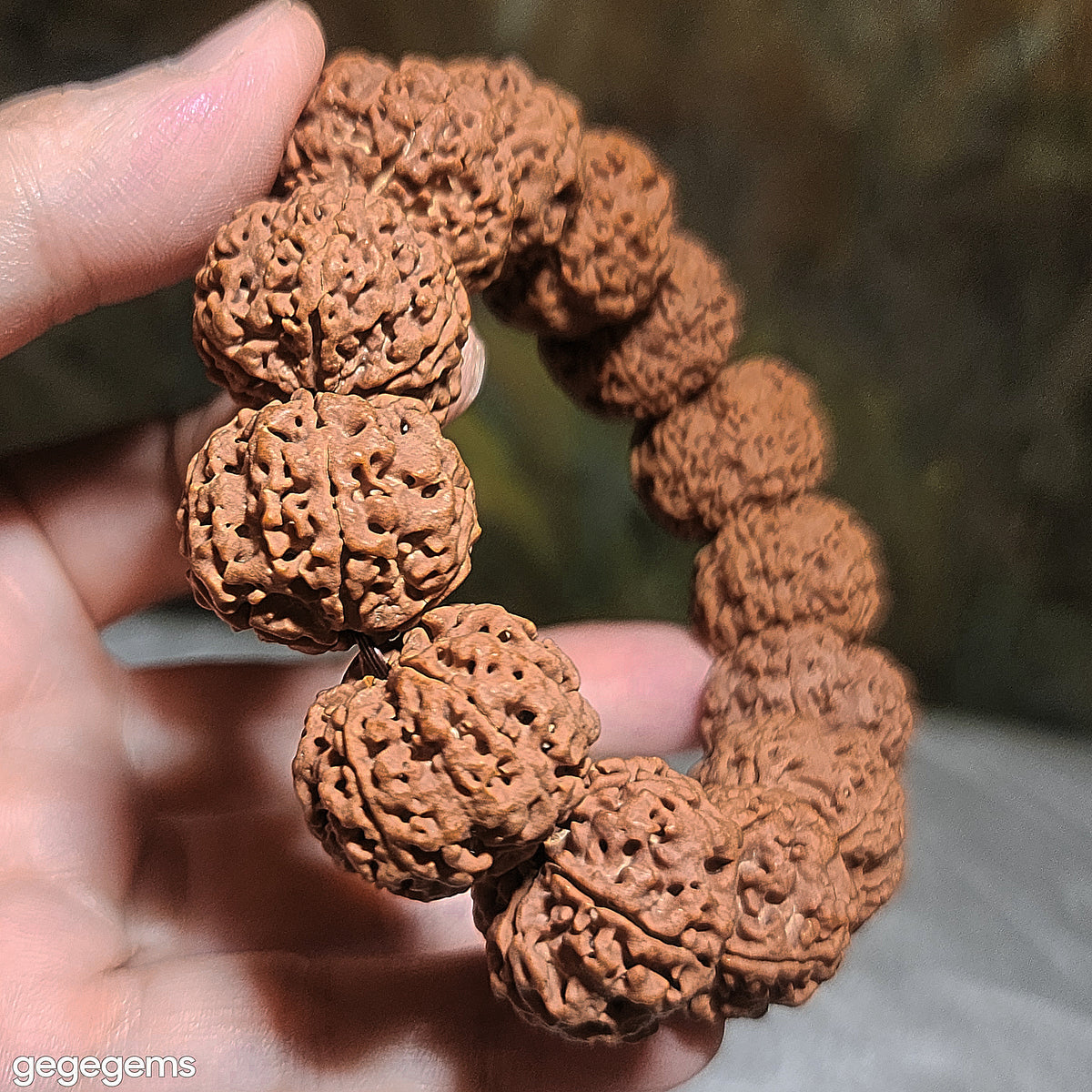 Gegegems XL 24mm+ to 25mm premium natural Nepal Rudraksha from high altitude dense & high oil contents same tree flat top & bottom Honeycomb Needle Holes  Panlong 5 Mukhi (faces) bracelet 精品大尺寸原生态尼泊尔五瓣高山安娜同树铁籽平头平尾针孔蜂窝盘龙大金刚菩提子手链