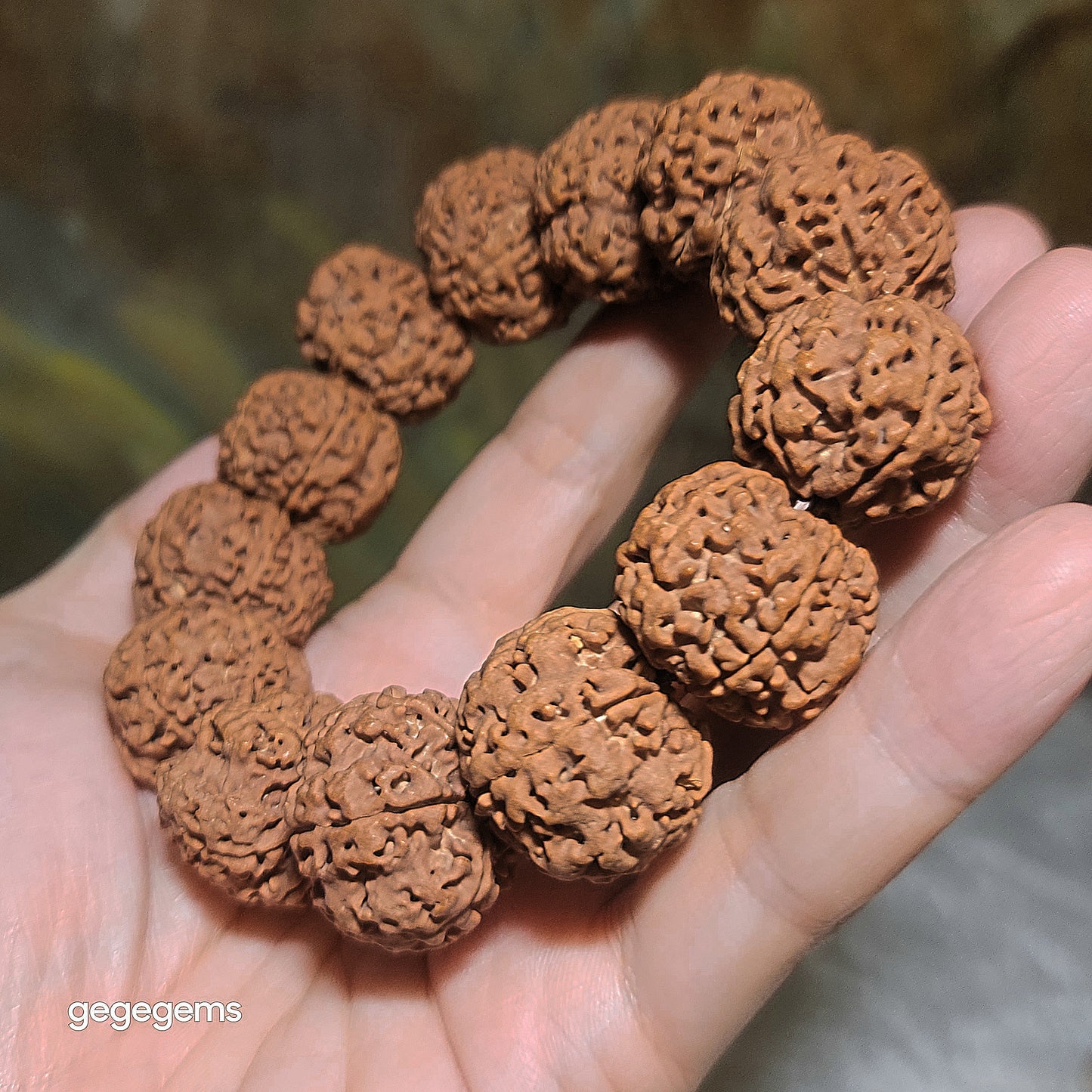Gegegems XL 24mm+ to 25mm premium natural Nepal Rudraksha from high altitude dense & high oil contents same tree flat top & bottom Honeycomb Needle Holes  Panlong 5 Mukhi (faces) bracelet 精品大尺寸原生态尼泊尔五瓣高山安娜同树铁籽平头平尾针孔蜂窝盘龙大金刚菩提子手链