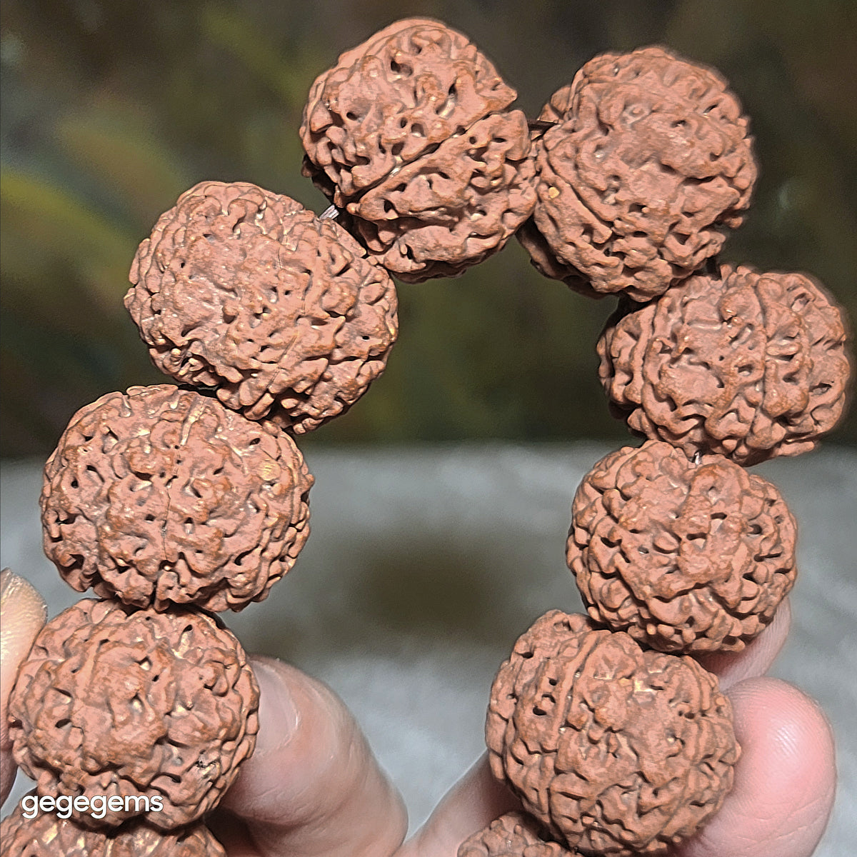 Gegegems XL 24mm+ to 25mm premium natural Nepal Rudraksha from high altitude dense & high oil contents same tree flat top & bottom Honeycomb Needle Holes  Panlong 5 Mukhi (faces) bracelet 精品大尺寸原生态尼泊尔五瓣高山安娜同树铁籽平头平尾针孔蜂窝盘龙大金刚菩提子手链