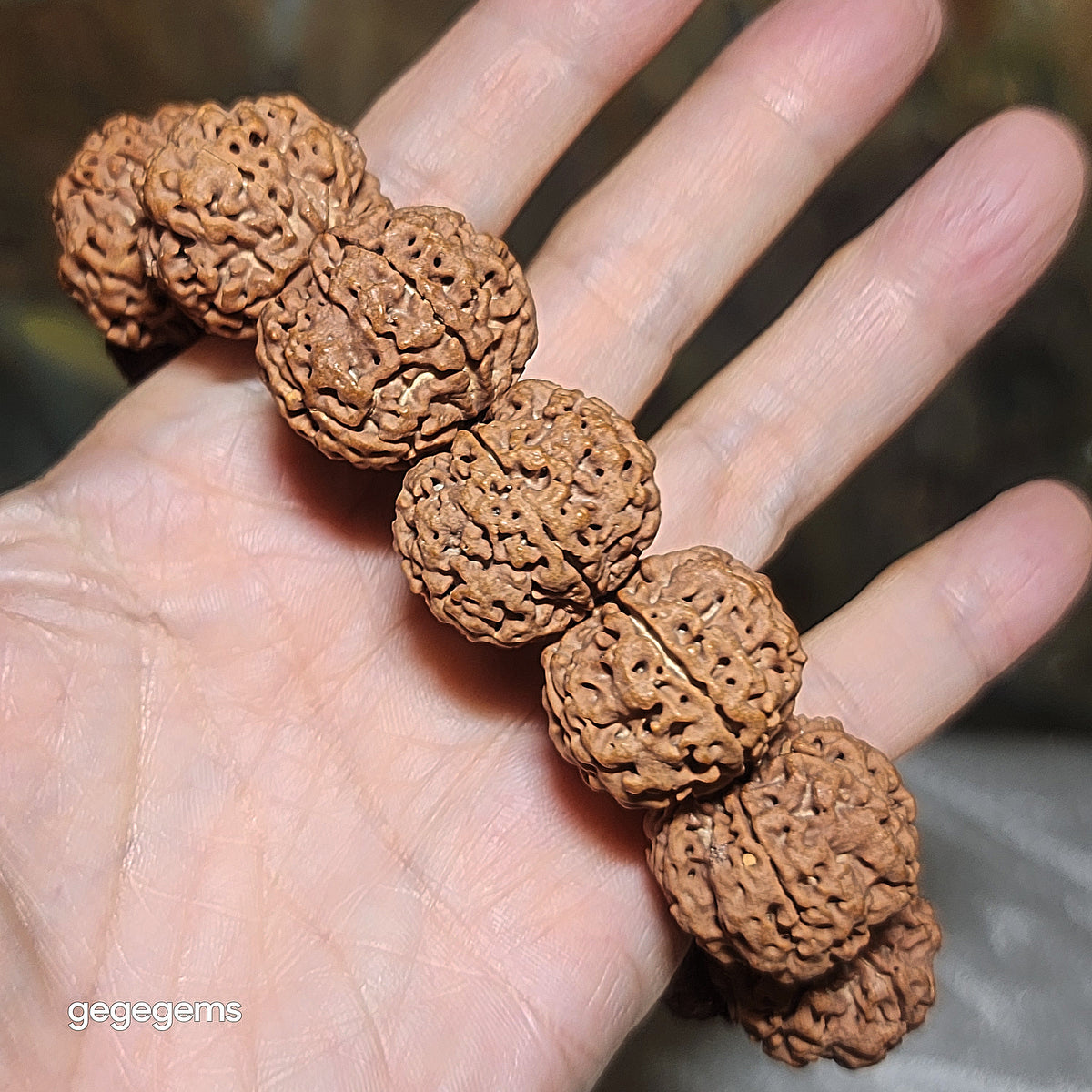 Gegegems XL 24mm+ to 25mm premium natural Nepal Rudraksha from high altitude dense & high oil contents same tree flat top & bottom Honeycomb Needle Holes  Panlong 5 Mukhi (faces) bracelet 精品大尺寸原生态尼泊尔五瓣高山安娜同树铁籽平头平尾针孔蜂窝盘龙大金刚菩提子手链