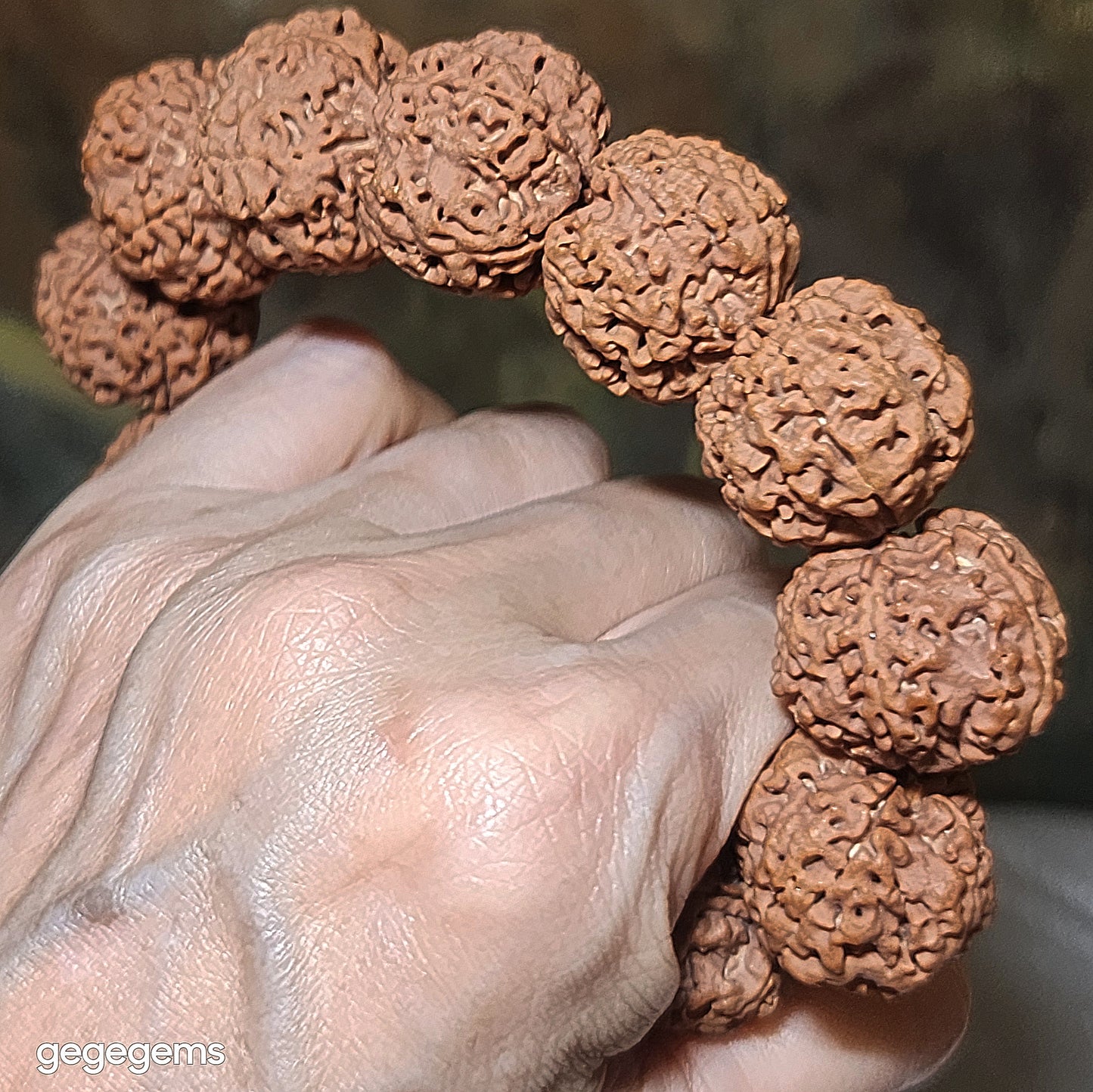 Gegegems XL 24mm+ to 25mm premium natural Nepal Rudraksha from high altitude dense & high oil contents same tree flat top & bottom Honeycomb Needle Holes  Panlong 5 Mukhi (faces) bracelet 精品大尺寸原生态尼泊尔五瓣高山安娜同树铁籽平头平尾针孔蜂窝盘龙大金刚菩提子手链