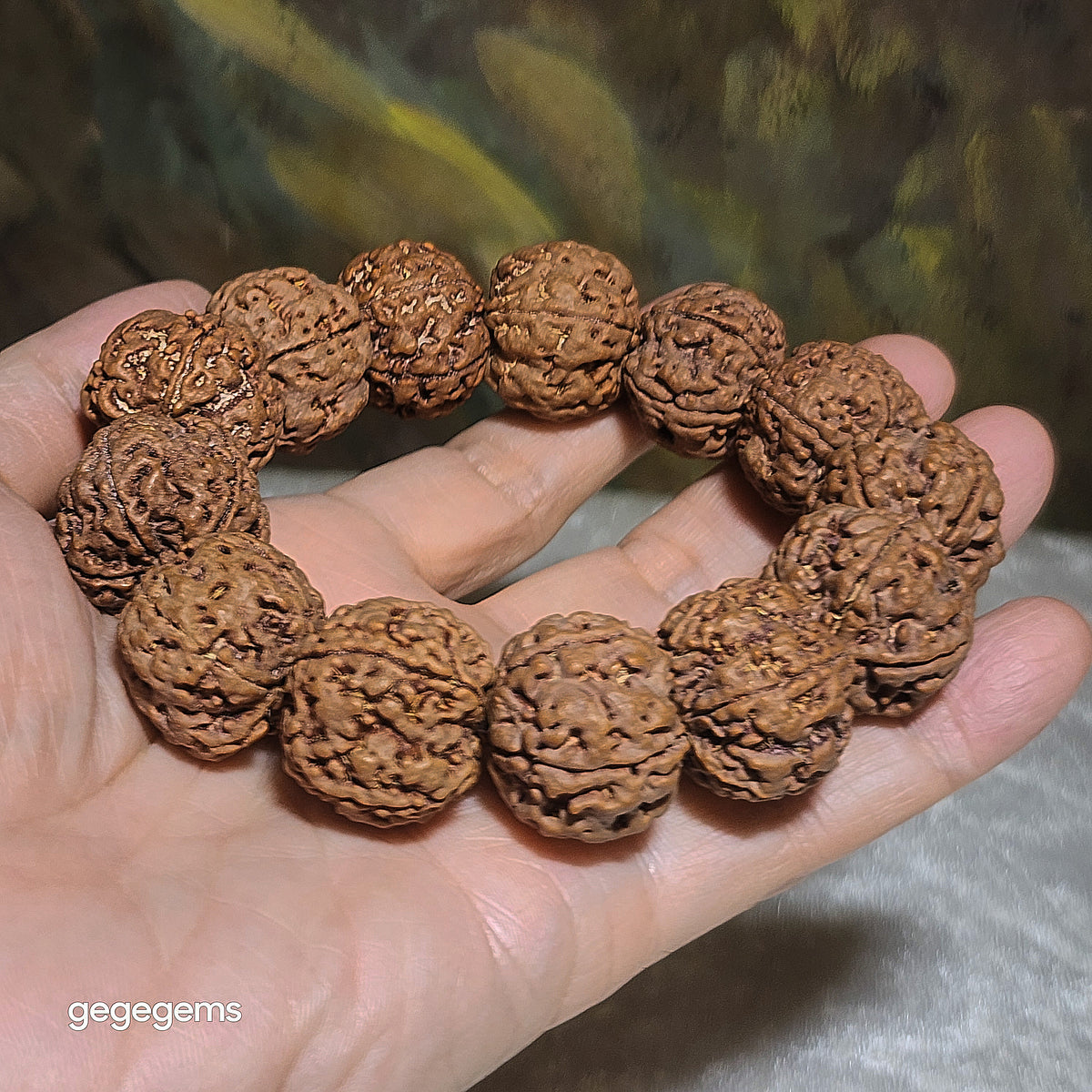 Gegegems XL 23mm+ to 24mm premium natural Nepal Rudraksha 5 Mukhi (faces) pink skin from high altitude dense & high oil contents same tree Double Dragons Panlong bracelet 精品大尺寸原生态尼泊尔五瓣高山安娜同树铁籽粉红皮双龙盘龙大金刚菩提子手链