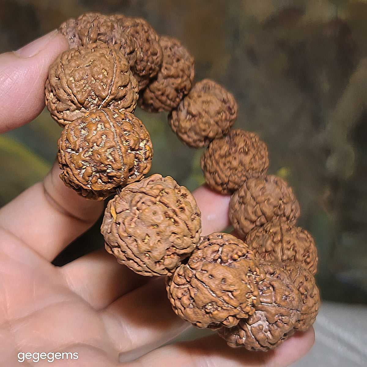 Gegegems XL 23mm+ to 24mm premium natural Nepal Rudraksha 5 Mukhi (faces) pink skin from high altitude dense & high oil contents same tree Double Dragons Panlong bracelet 精品大尺寸原生态尼泊尔五瓣高山安娜同树铁籽粉红皮双龙盘龙大金刚菩提子手链