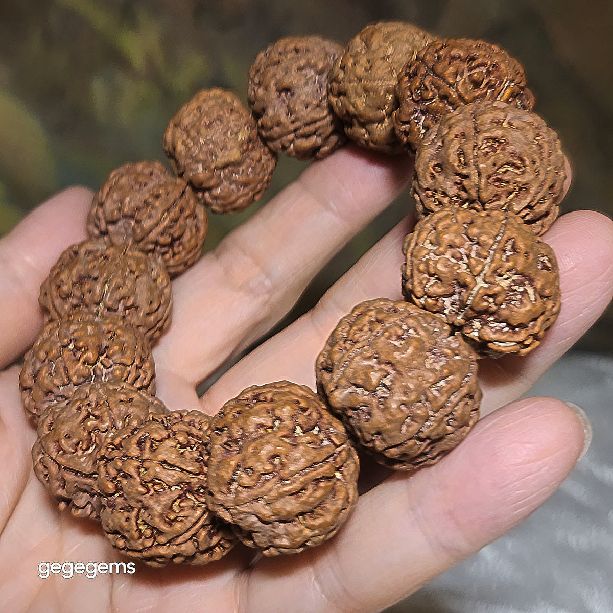 Gegegems XL 23mm+ to 24mm premium natural Nepal Rudraksha 5 Mukhi (faces) pink skin from high altitude dense & high oil contents same tree Double Dragons Panlong bracelet 精品大尺寸原生态尼泊尔五瓣高山安娜同树铁籽粉红皮双龙盘龙大金刚菩提子手链