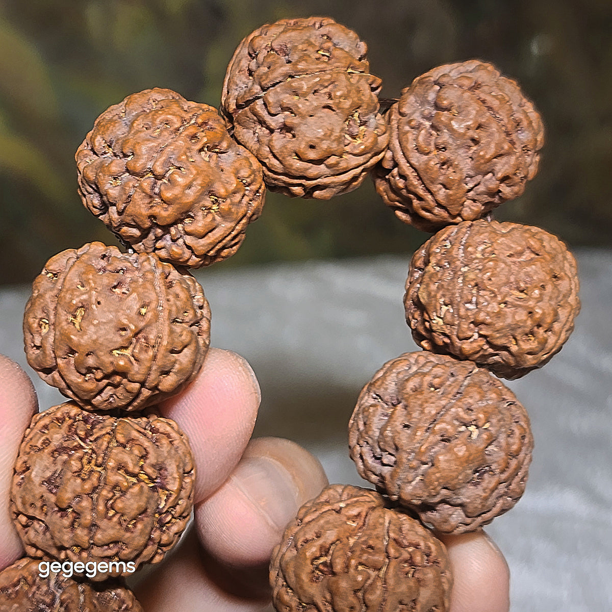 Gegegems XL 23mm+ to 24mm premium natural Nepal Rudraksha 5 Mukhi (faces) pink skin from high altitude dense & high oil contents same tree Double Dragons Panlong bracelet 精品大尺寸原生态尼泊尔五瓣高山安娜同树铁籽粉红皮双龙盘龙大金刚菩提子手链