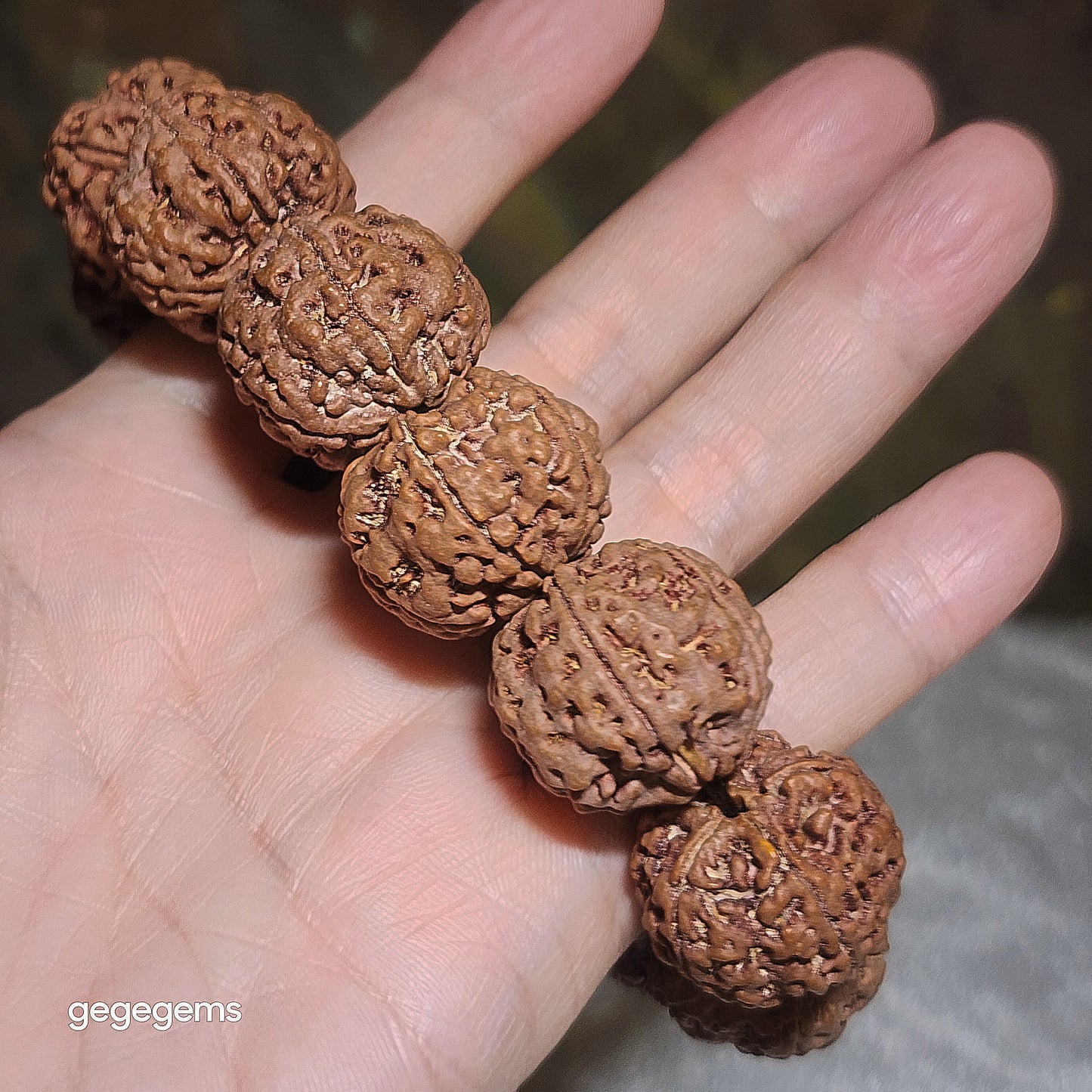 Gegegems XL 23mm+ to 24mm premium natural Nepal Rudraksha 5 Mukhi (faces) pink skin from high altitude dense & high oil contents same tree Double Dragons Panlong bracelet 精品大尺寸原生态尼泊尔五瓣高山安娜同树铁籽粉红皮双龙盘龙大金刚菩提子手链