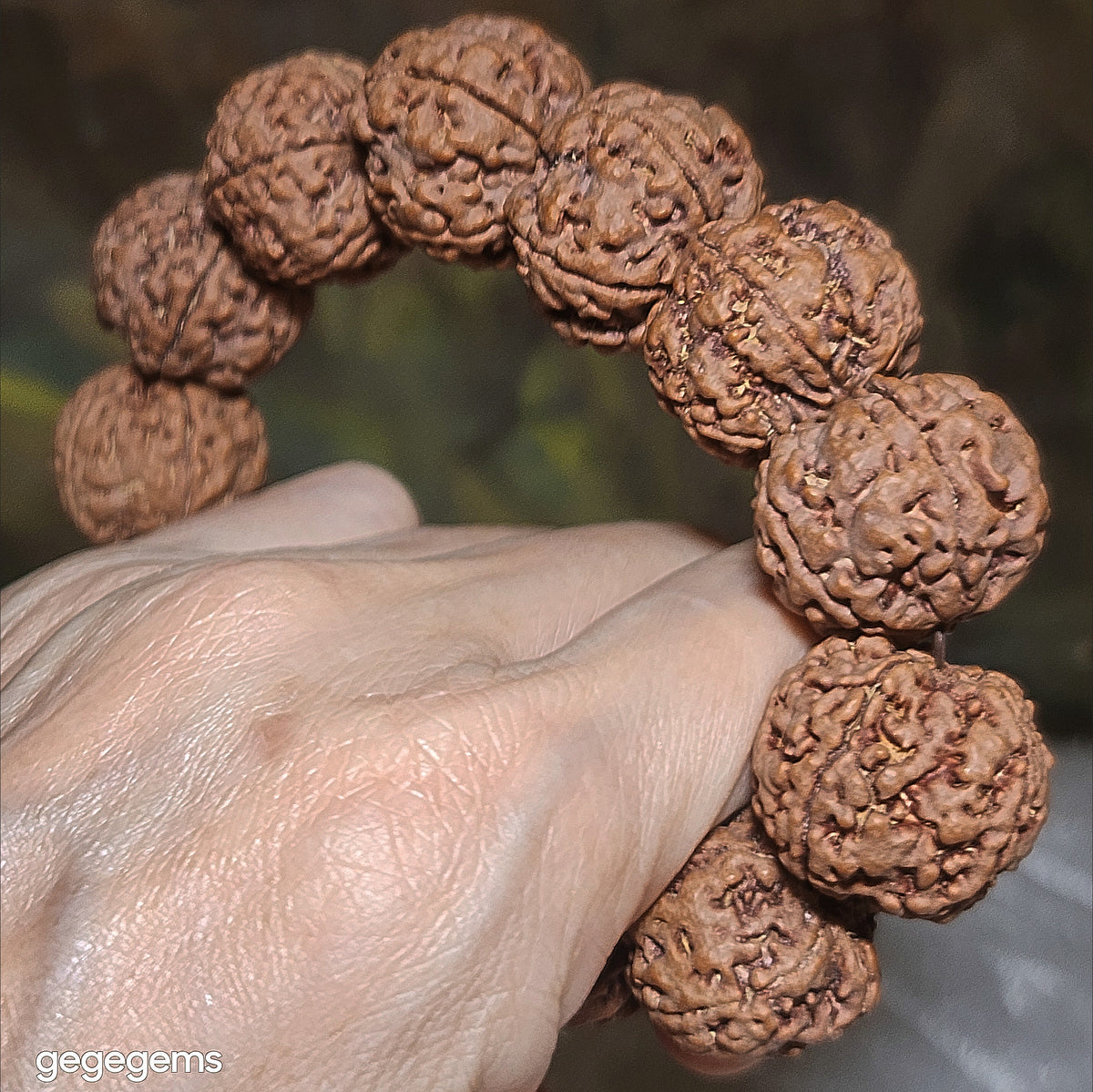 Gegegems XL 23mm+ to 24mm premium natural Nepal Rudraksha 5 Mukhi (faces) pink skin from high altitude dense & high oil contents same tree Double Dragons Panlong bracelet 精品大尺寸原生态尼泊尔五瓣高山安娜同树铁籽粉红皮双龙盘龙大金刚菩提子手链