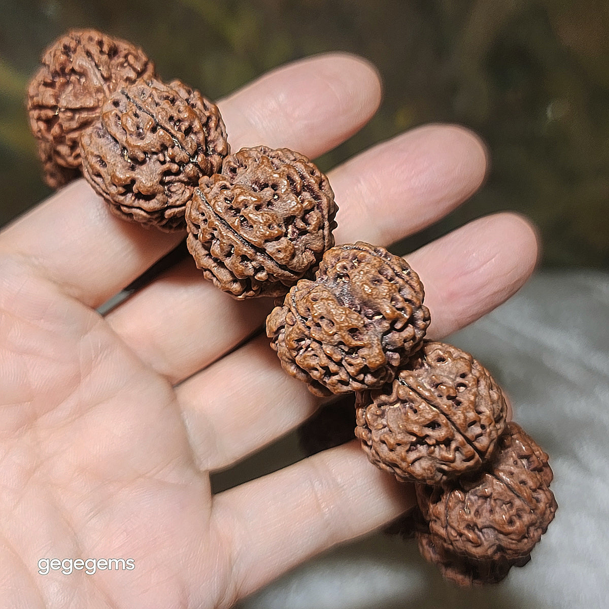 Gegegems XL 23.5 to 24mm+ premium natural Nepal Rudraksha high altitude (dense & high natural oil contents) pinkish same tree both sides Plum Flower Needle holes Honeycomb Double Dragons 5 Mukhi bracelet 精品大尺寸尼泊尔五瓣高山安娜籽粉红皮同树双面梅花针孔蜂窝双龙大金刚菩提子手链