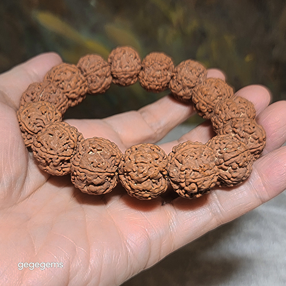 Premium 20mm natural Nepal Rudraksha high altitude (dense & high natural oil contents) pinkish same tree Double Dragons Panlong 5 Mukhi bracelet 精品尼泊尔五瓣高山安娜籽粉红皮同树双龙盘龙大金刚菩提子手链