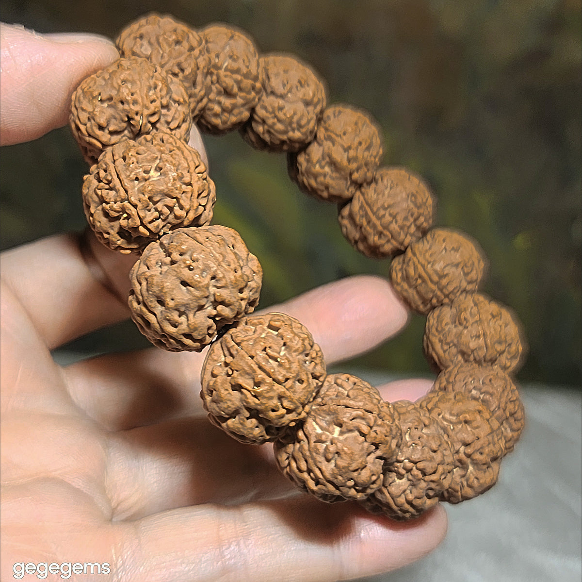 Premium 20mm natural Nepal Rudraksha high altitude (dense & high natural oil contents) pinkish same tree Double Dragons Panlong 5 Mukhi bracelet 精品尼泊尔五瓣高山安娜籽粉红皮同树双龙盘龙大金刚菩提子手链