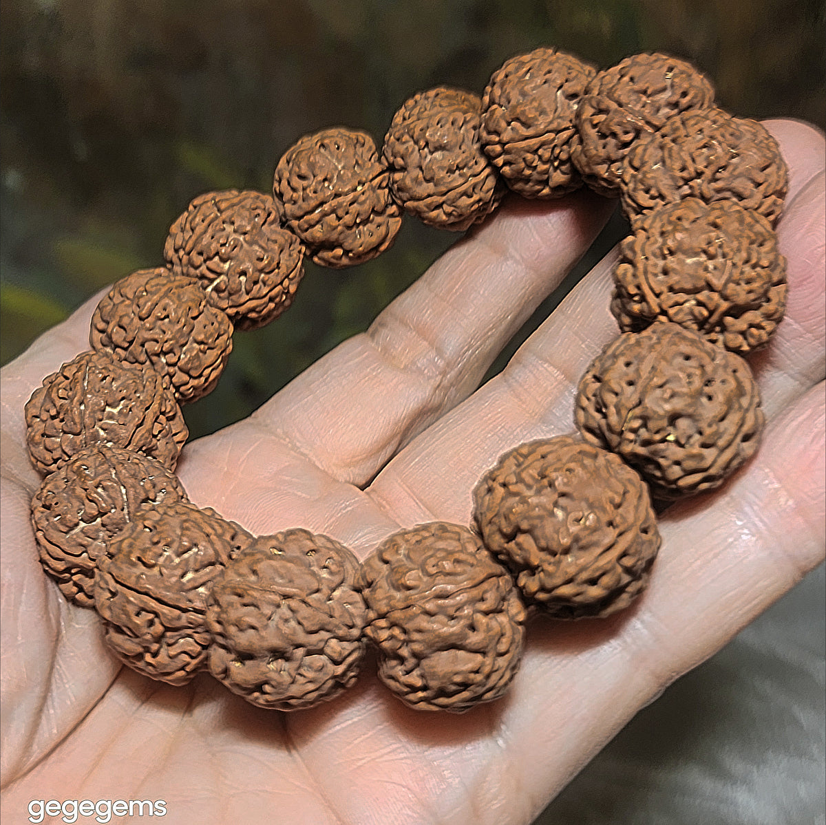 Premium 20mm natural Nepal Rudraksha high altitude (dense & high natural oil contents) pinkish same tree Double Dragons Panlong 5 Mukhi bracelet 精品尼泊尔五瓣高山安娜籽粉红皮同树双龙盘龙大金刚菩提子手链