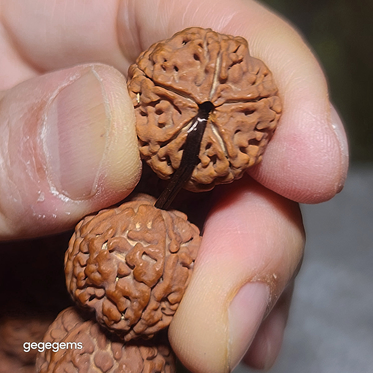 Premium 20mm natural Nepal Rudraksha high altitude (dense & high natural oil contents) pinkish same tree Double Dragons Panlong 5 Mukhi bracelet 精品尼泊尔五瓣高山安娜籽粉红皮同树双龙盘龙大金刚菩提子手链