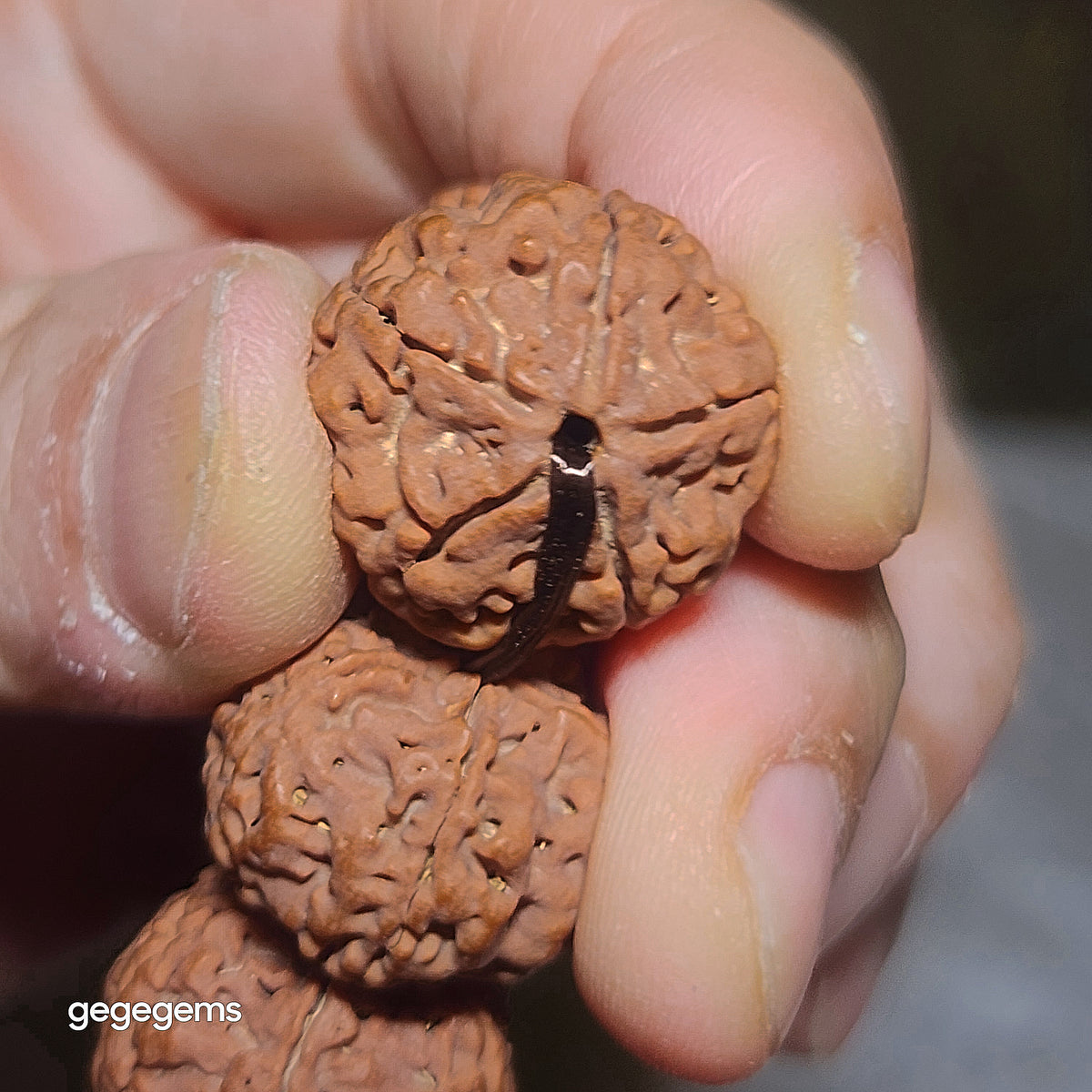 Premium 20mm natural Nepal Rudraksha high altitude (dense & high natural oil contents) pinkish same tree Double Dragons Panlong 5 Mukhi bracelet 精品尼泊尔五瓣高山安娜籽粉红皮同树双龙盘龙大金刚菩提子手链